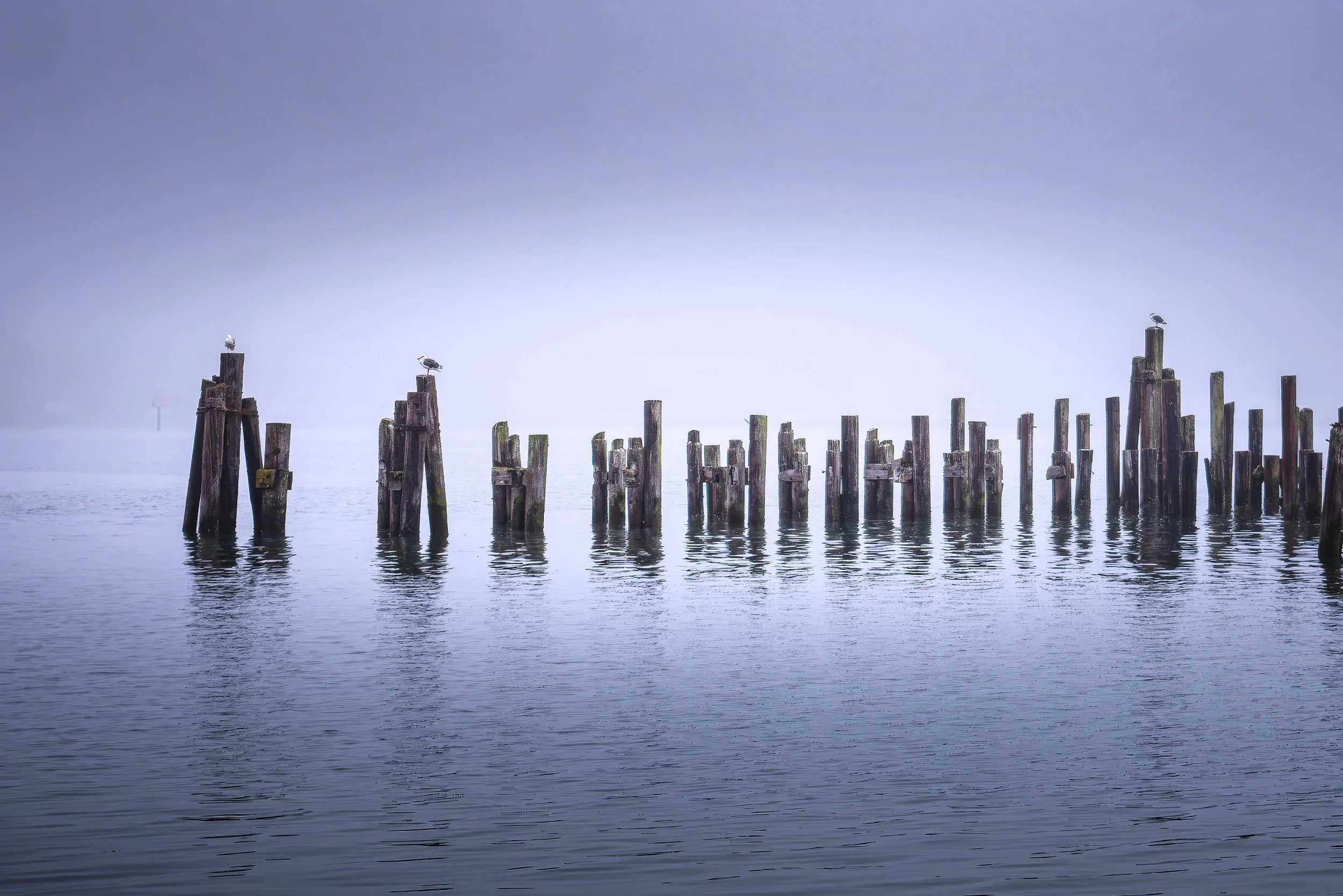 Pier_8810.jpg