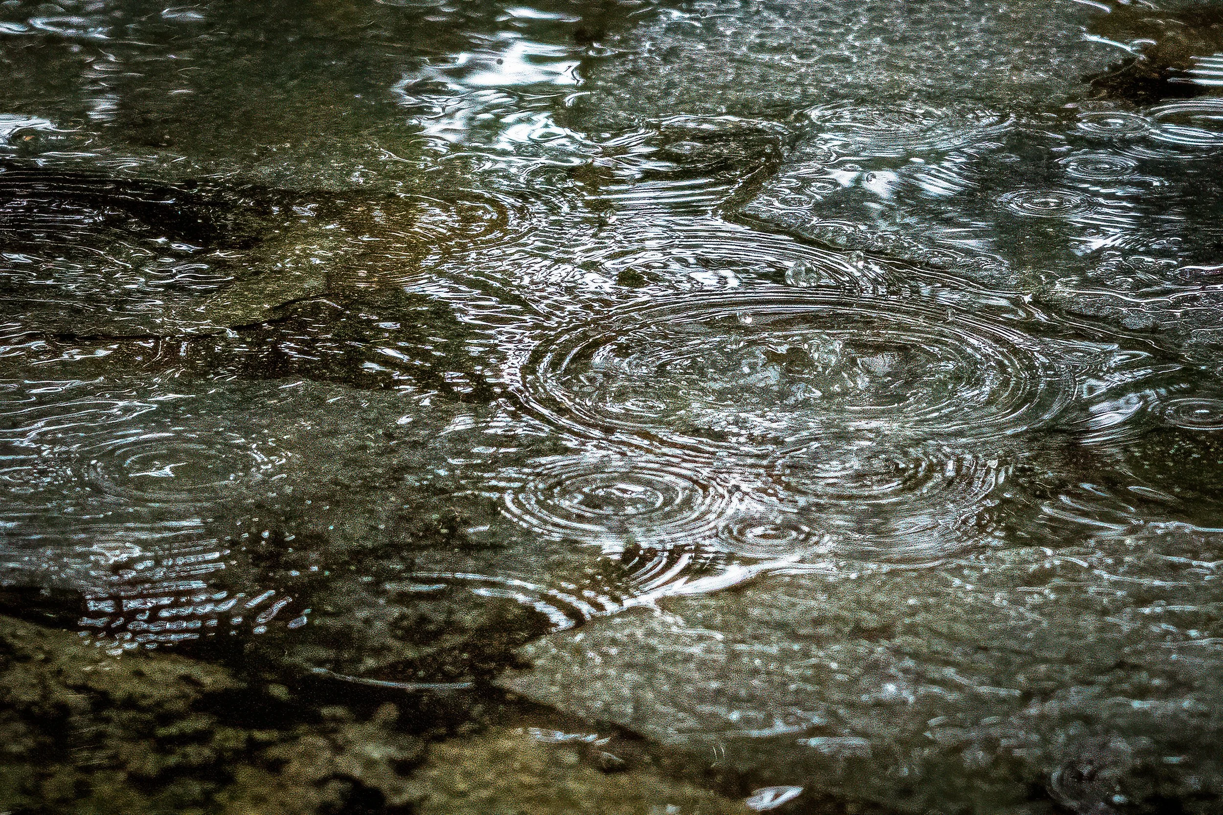 Raindrops Edited_3311.jpg