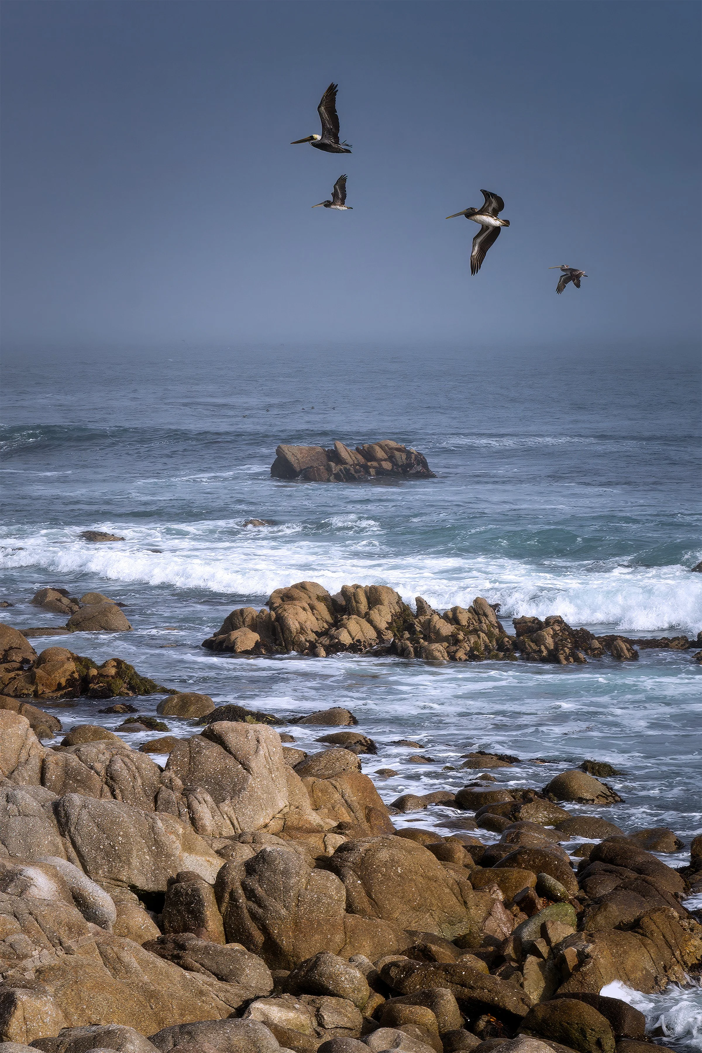 Asilomar_3101.jpg