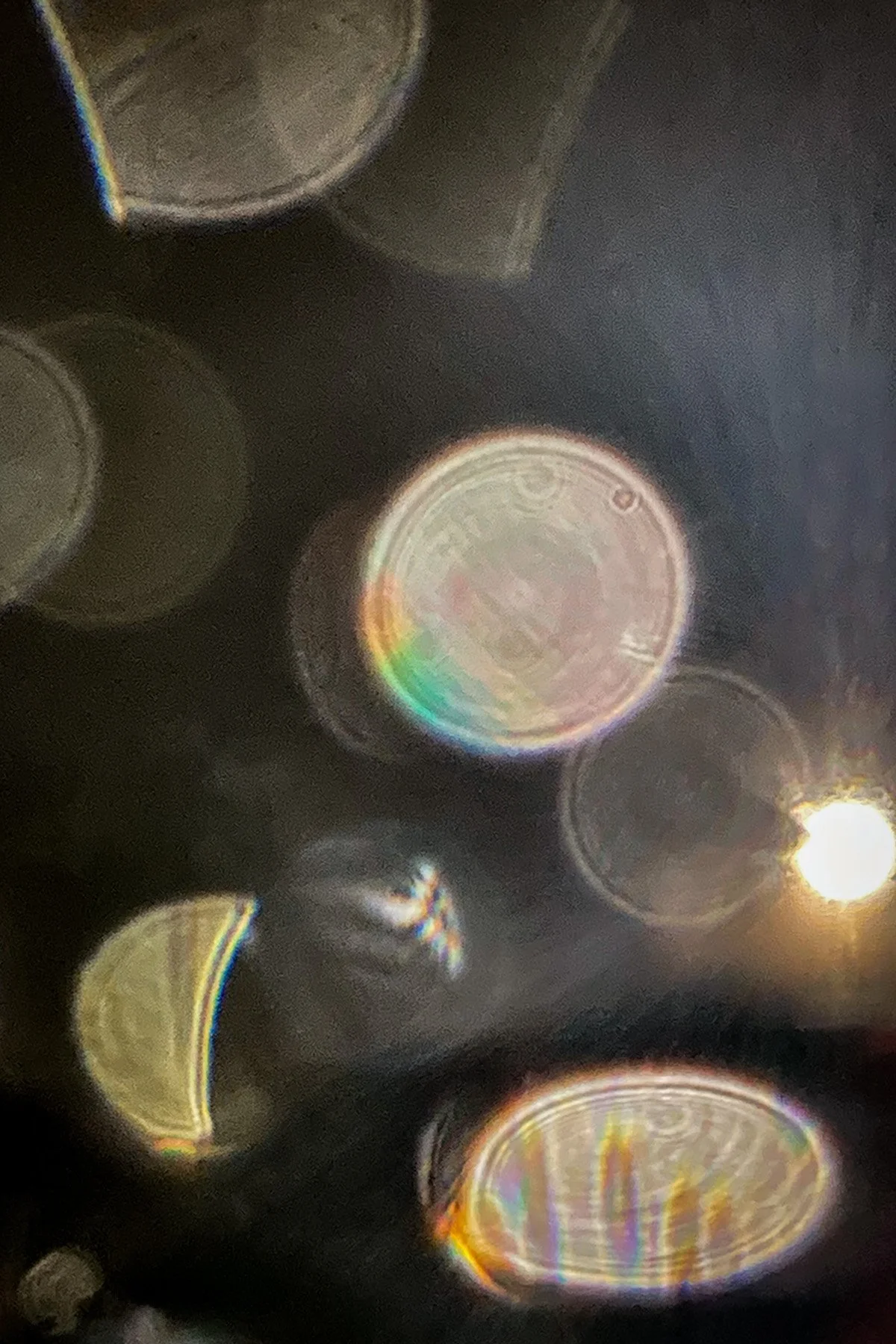 Raindrops_2336.jpg