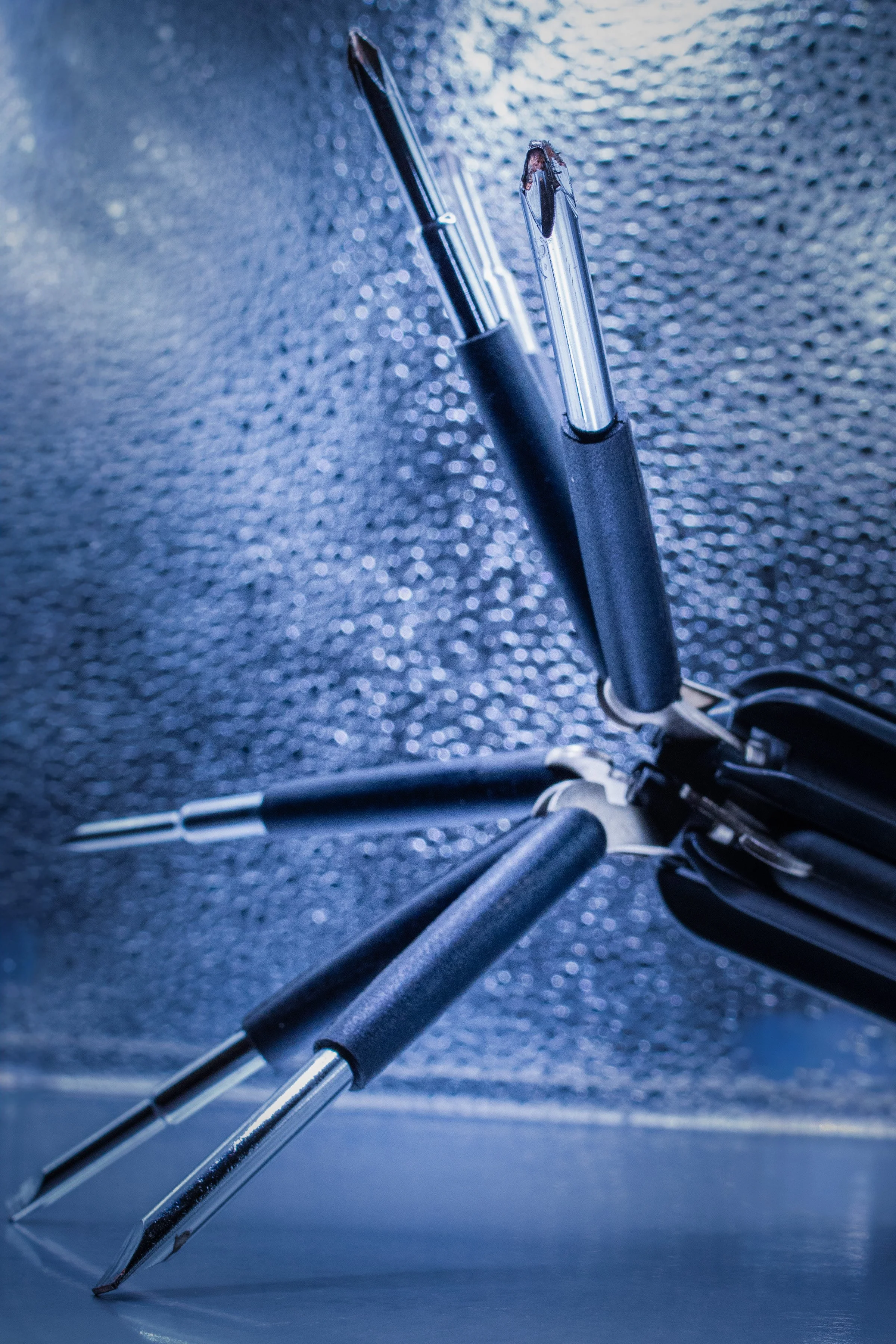 Taming Of The Screw_1521.jpg