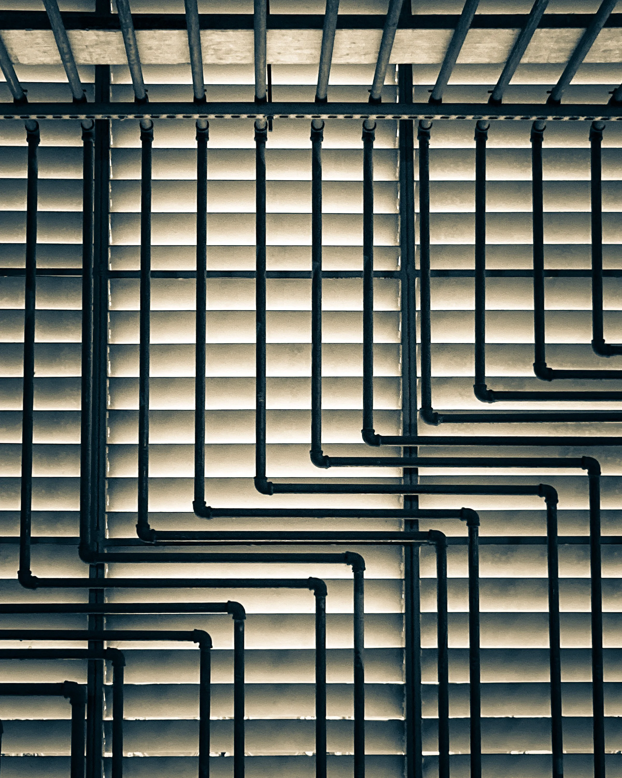 Pipe Dreamsev1_2769.jpg