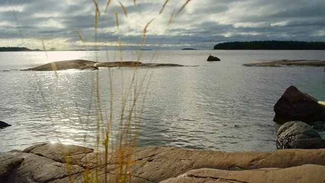 Apetit_Kalapuikko_TVC_v01