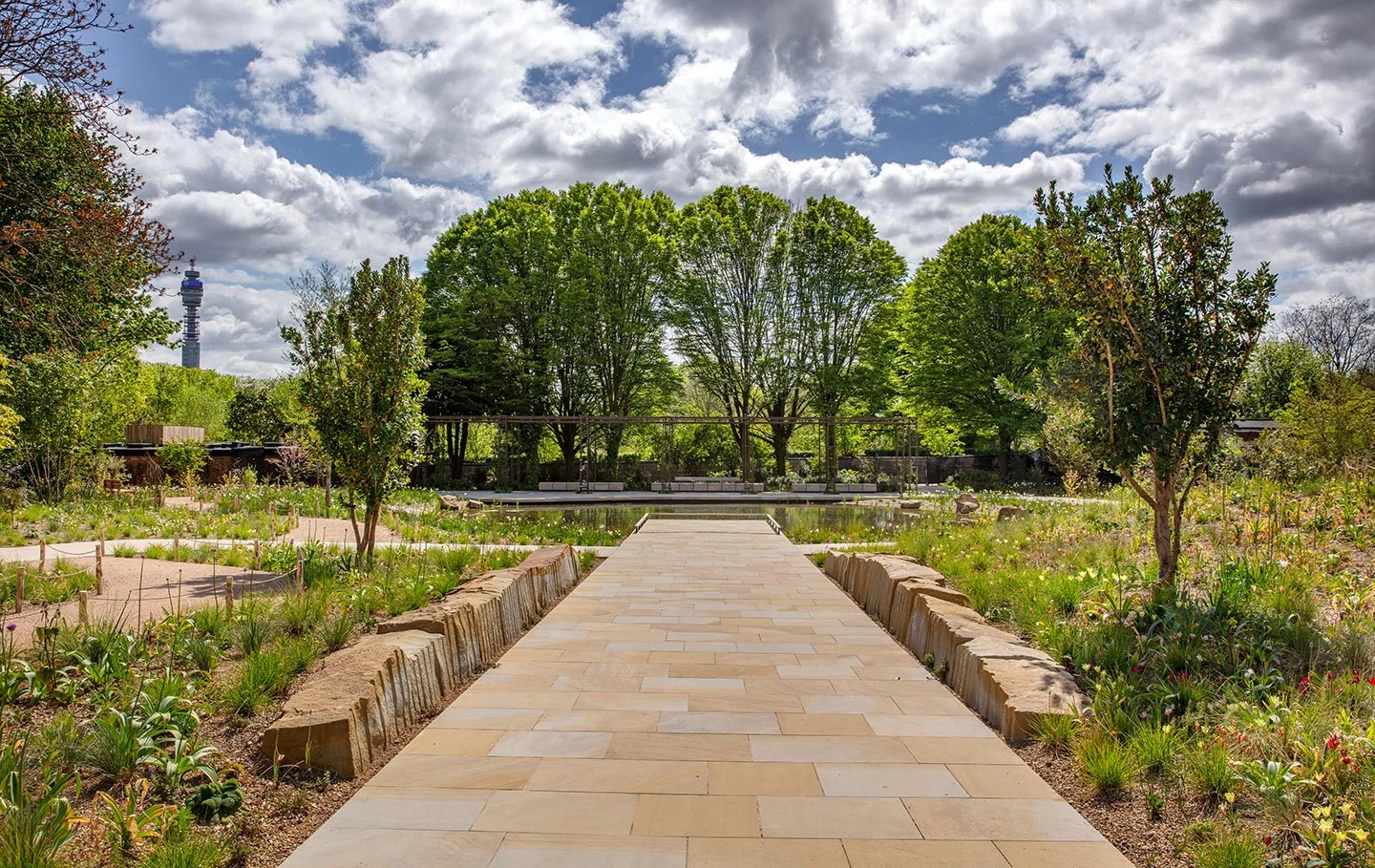 Hero 5_resized.jpg