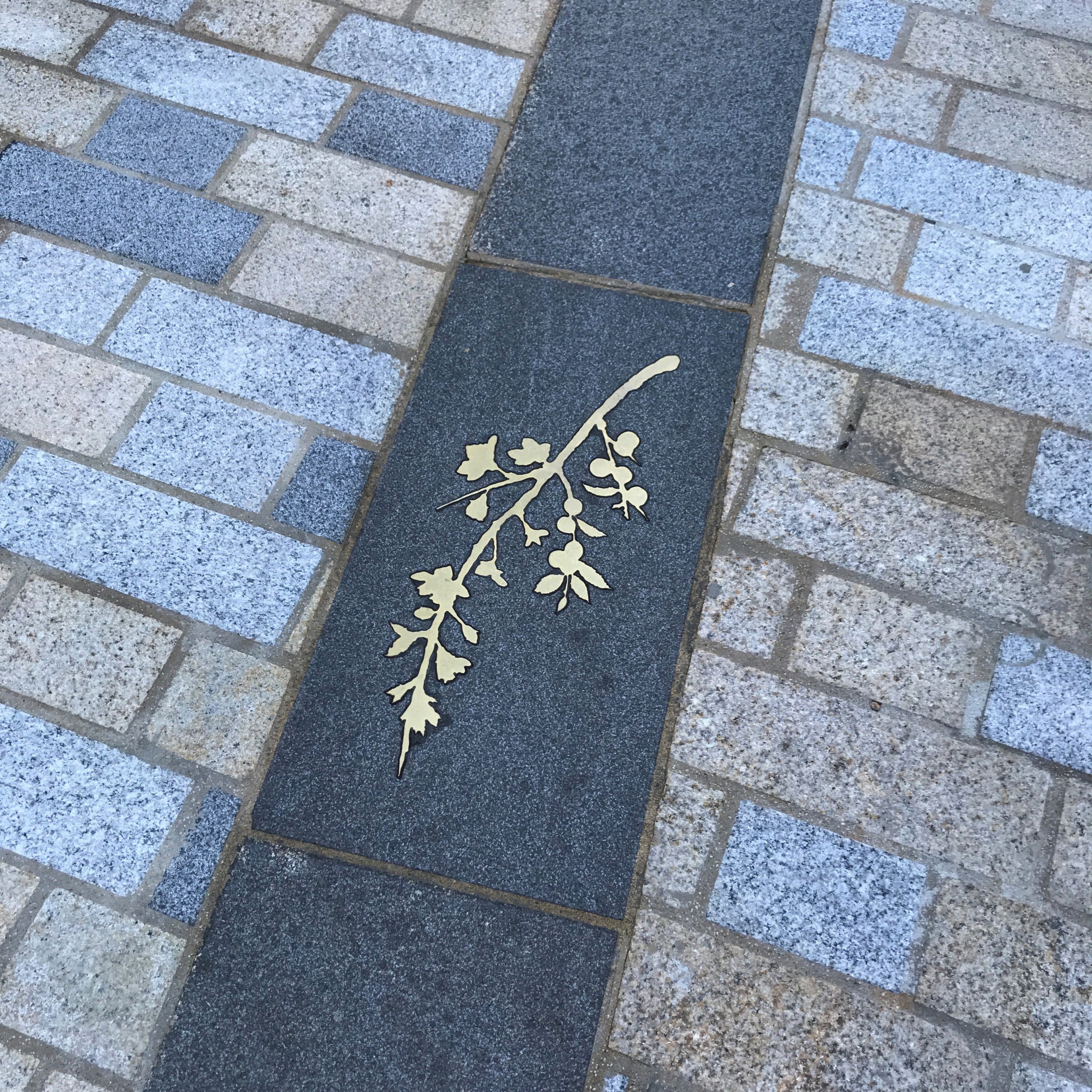 PAVIMG_3618.jpg