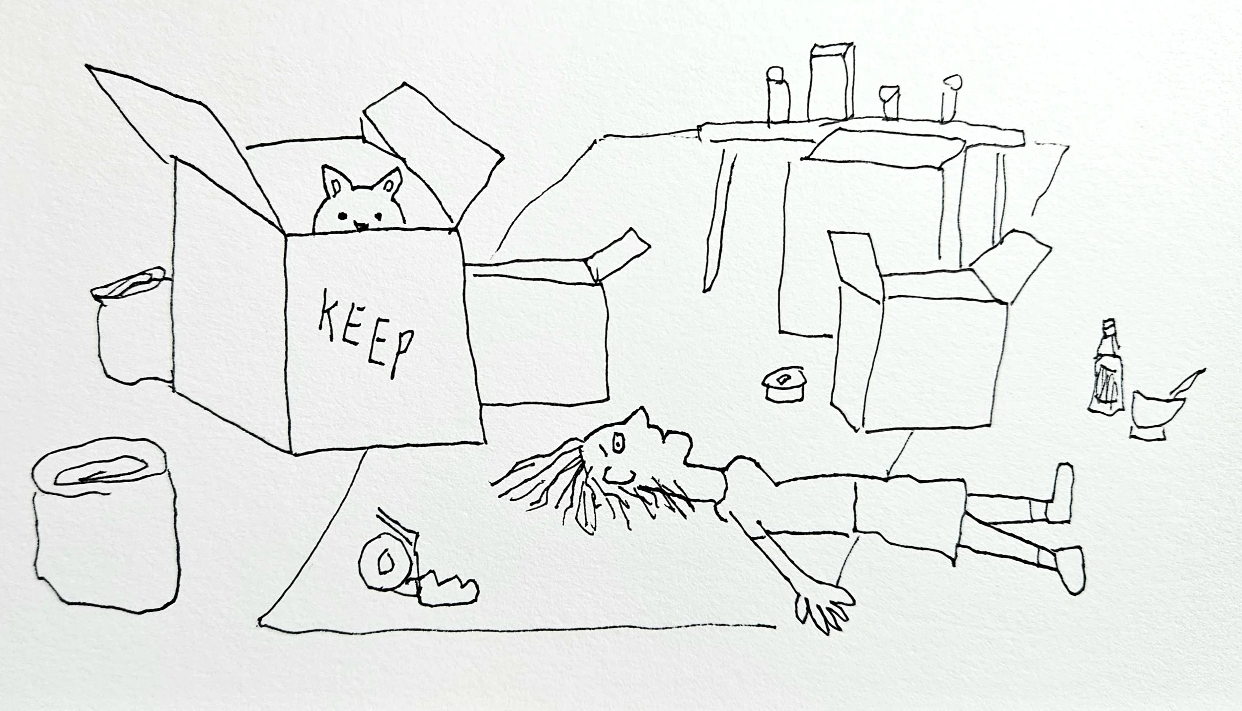 How to Declutter Before Moving Without the Overwhelm