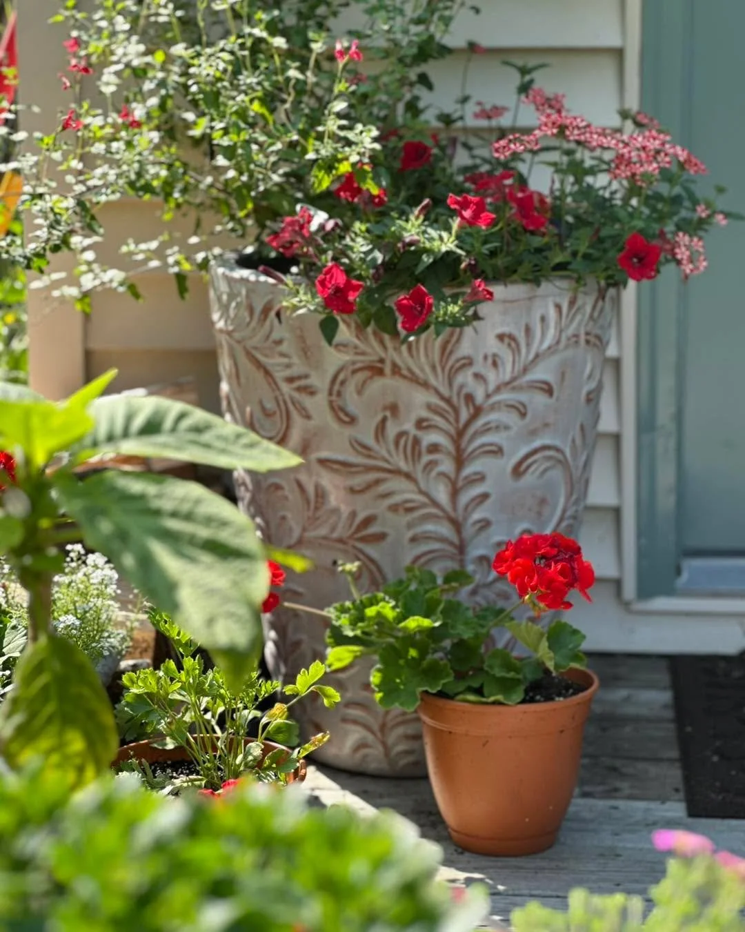 Beautiful Relief pattern Aquapots for sale. July 4th savings - 15% off and they come filled full of flower 🌺 L🌻O🪻V 🌸E!!
While supplies last on island customers. 

Message us for more info!