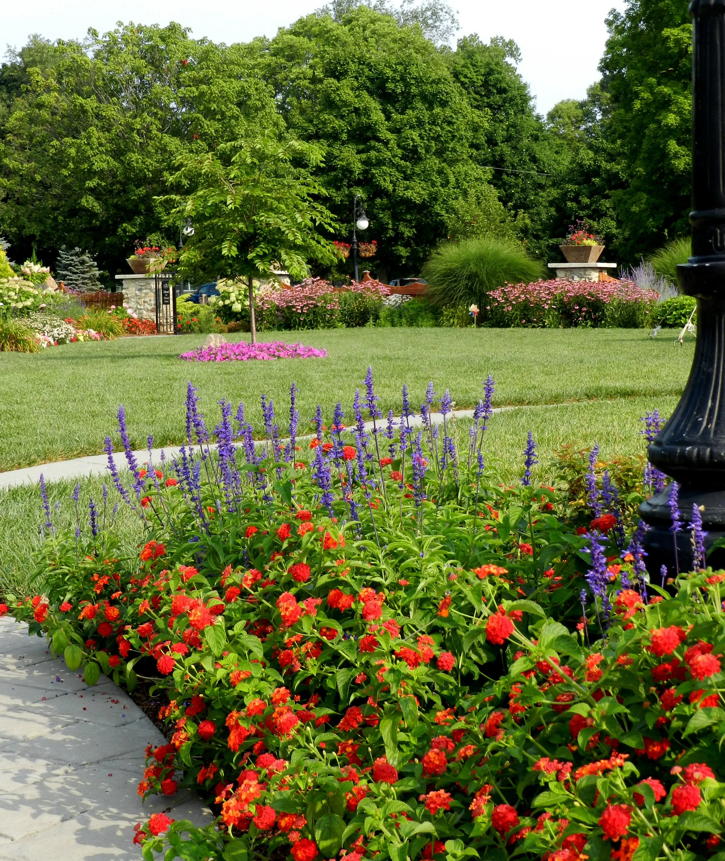 DSCN0592.jpg