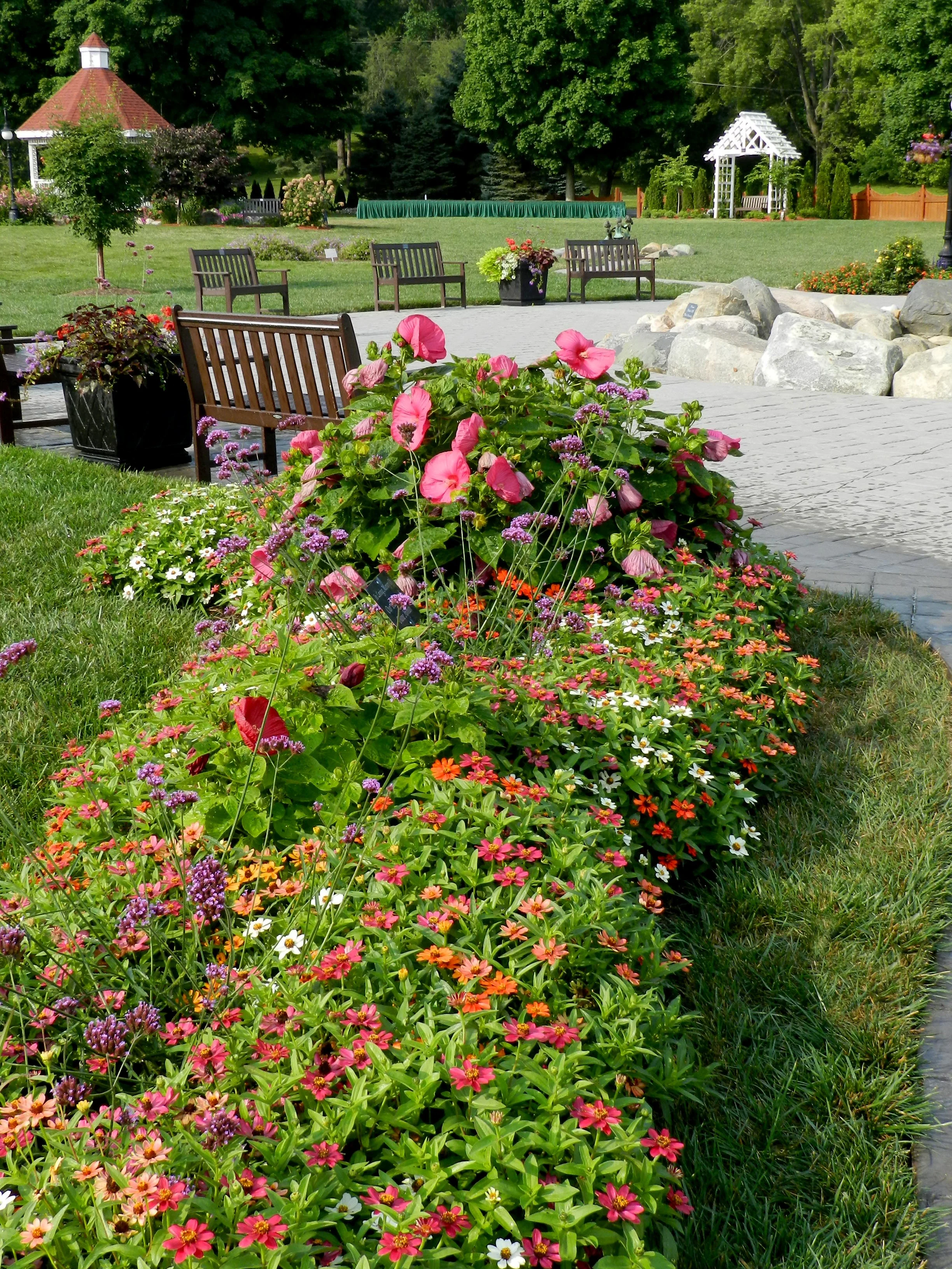DSCN0594.jpg