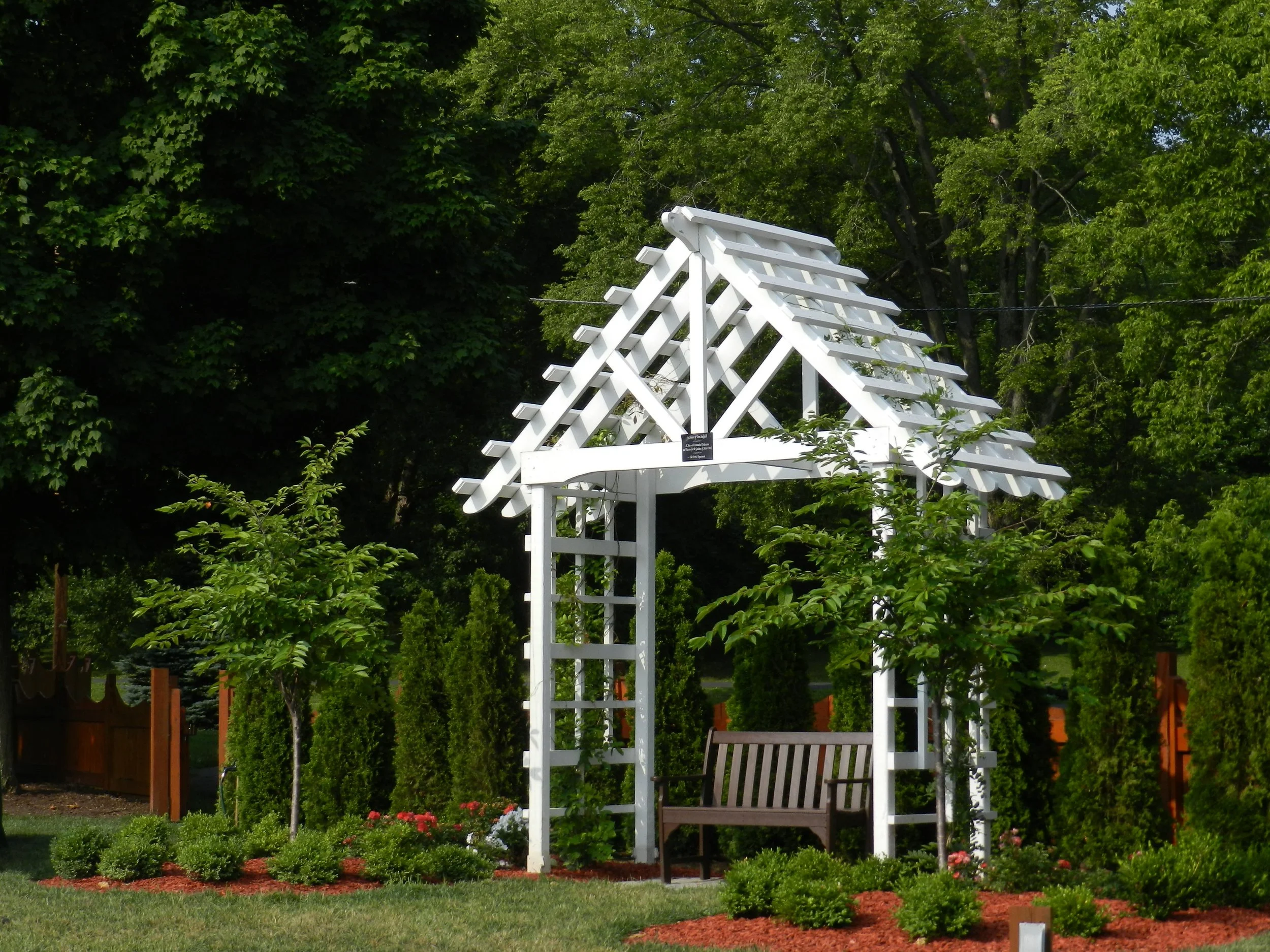 DSCN0596.JPG
