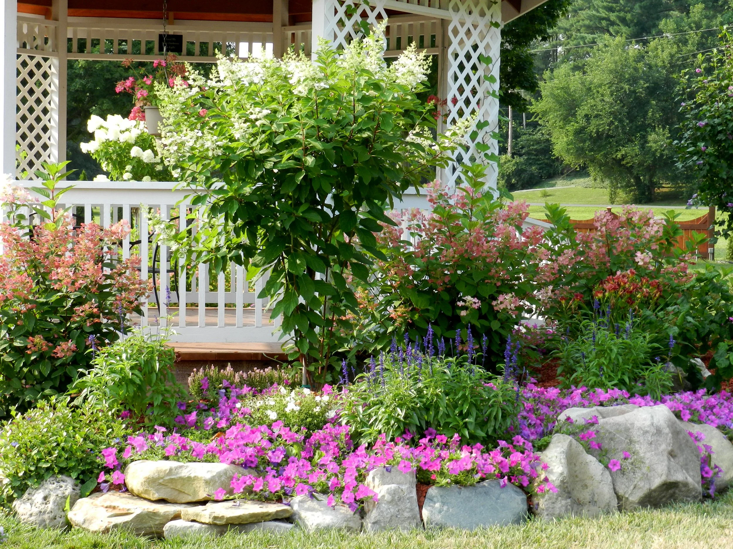 DSCN0597.jpg