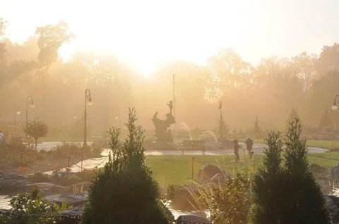 parks fog.jpg