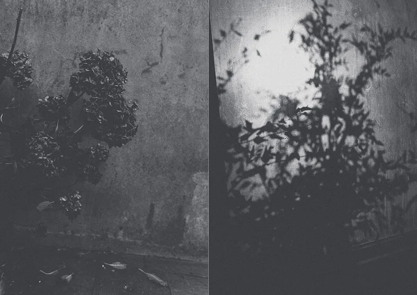 Dove si arriva per un like?