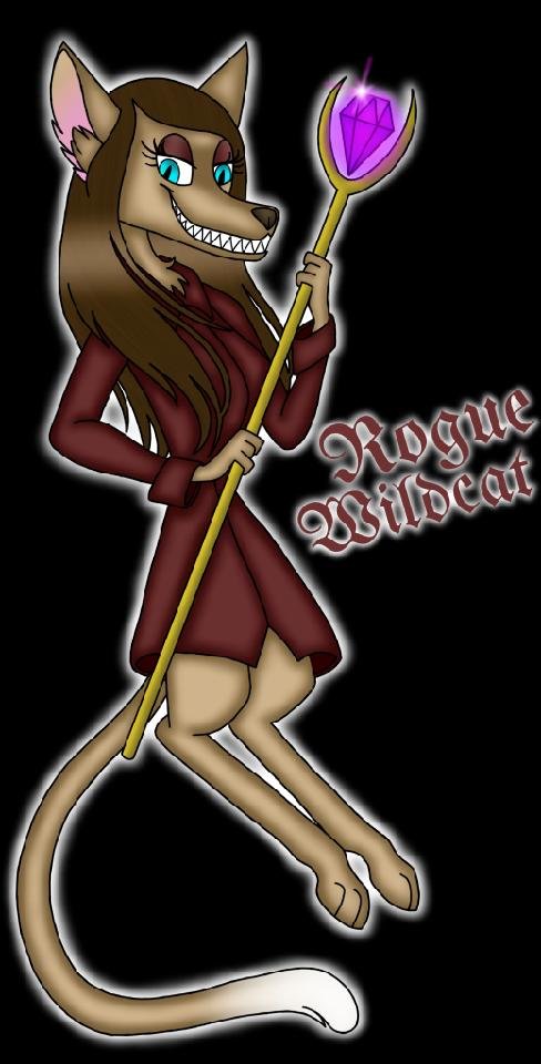 Rogue Wildcats Studios
