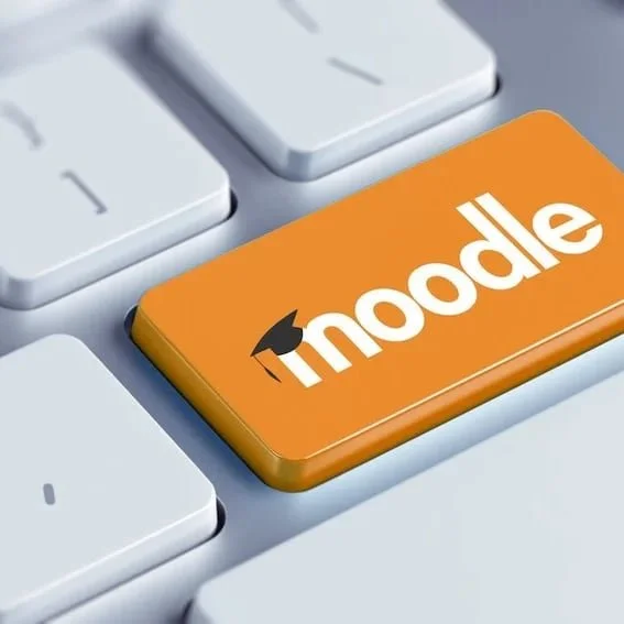 Close-up of a computer keyboard with a bright orange key that has the Moodle logo and the word 'moodle' printed on it.