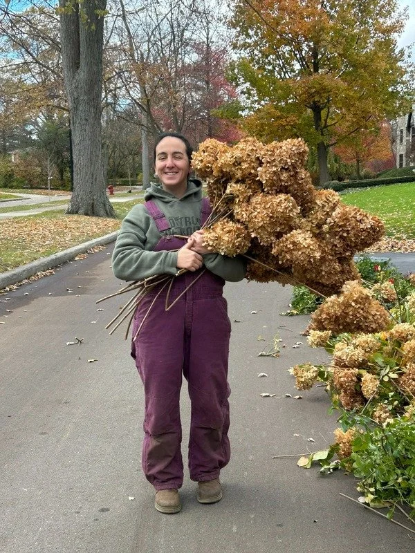 olivia hydrangeas.jpg