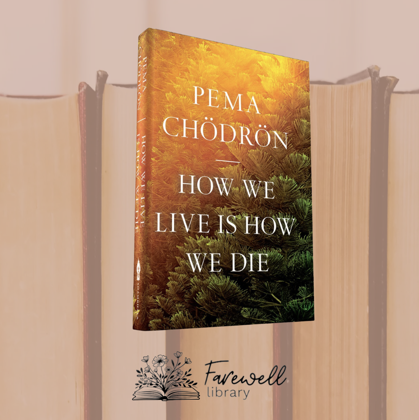 How We Live Is How We Die by Pema Chodron