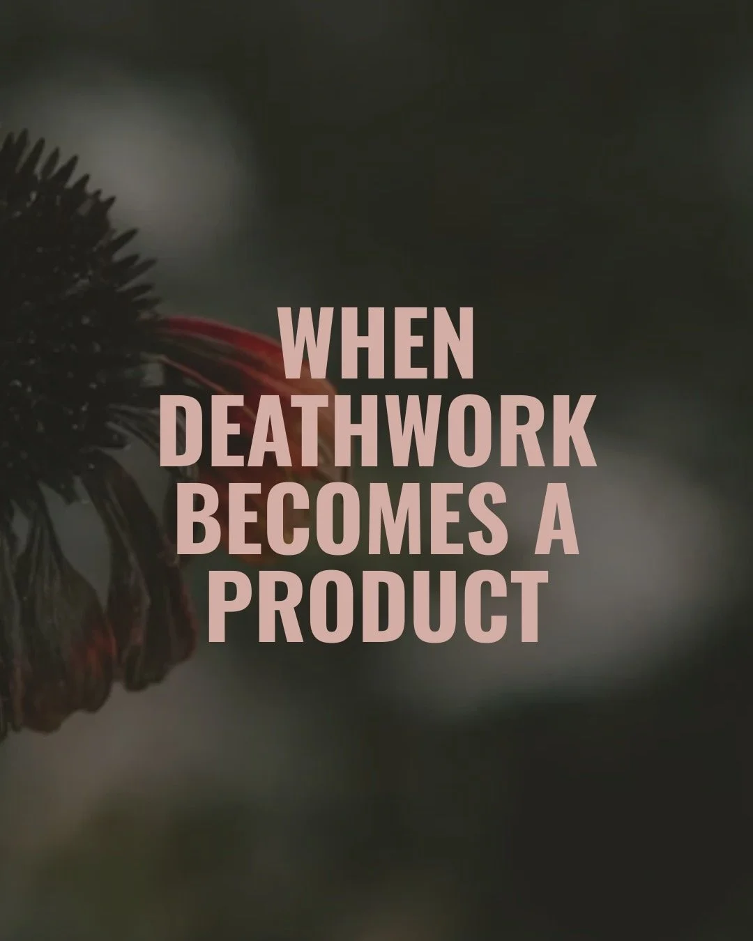 My local hospice is undercutting my work and putting my training program out of business.

That&rsquo;s the spark, but not the point.

I just wrote a Substack about something a lot of people in deathwork are quietly noticing: Death doula training is 