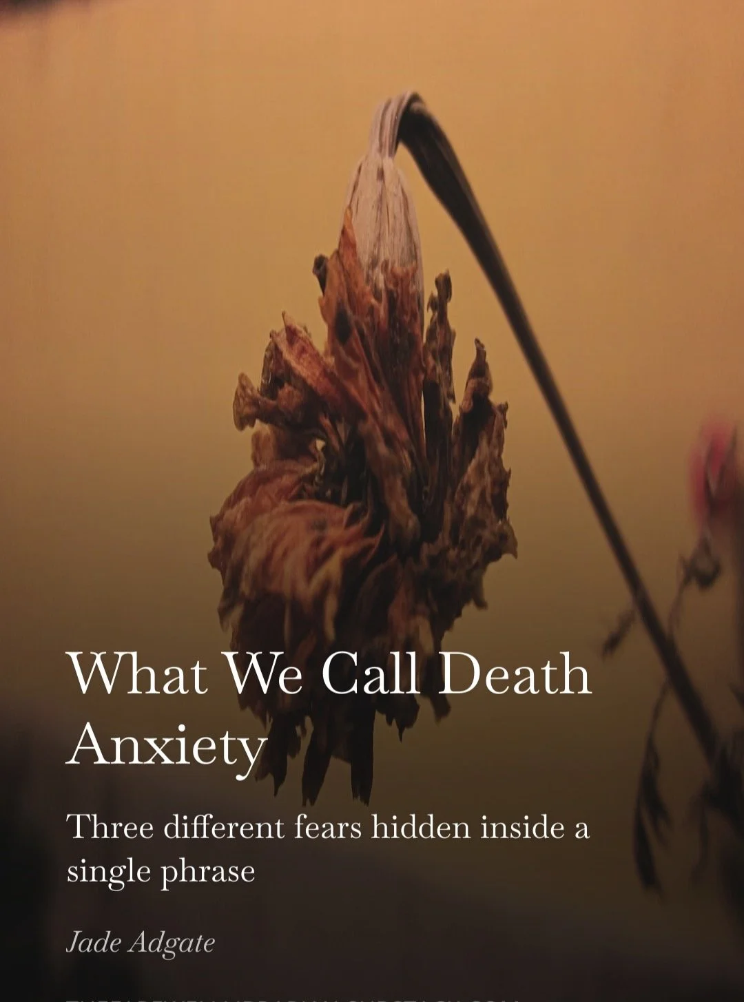 What we call "death anxiety" is often more specific than we realize.

For some, it's fear of the dying process: pain, dependence, loss of control.

For others, it's fear of being dead: no longer participating in the lives of those we love, 