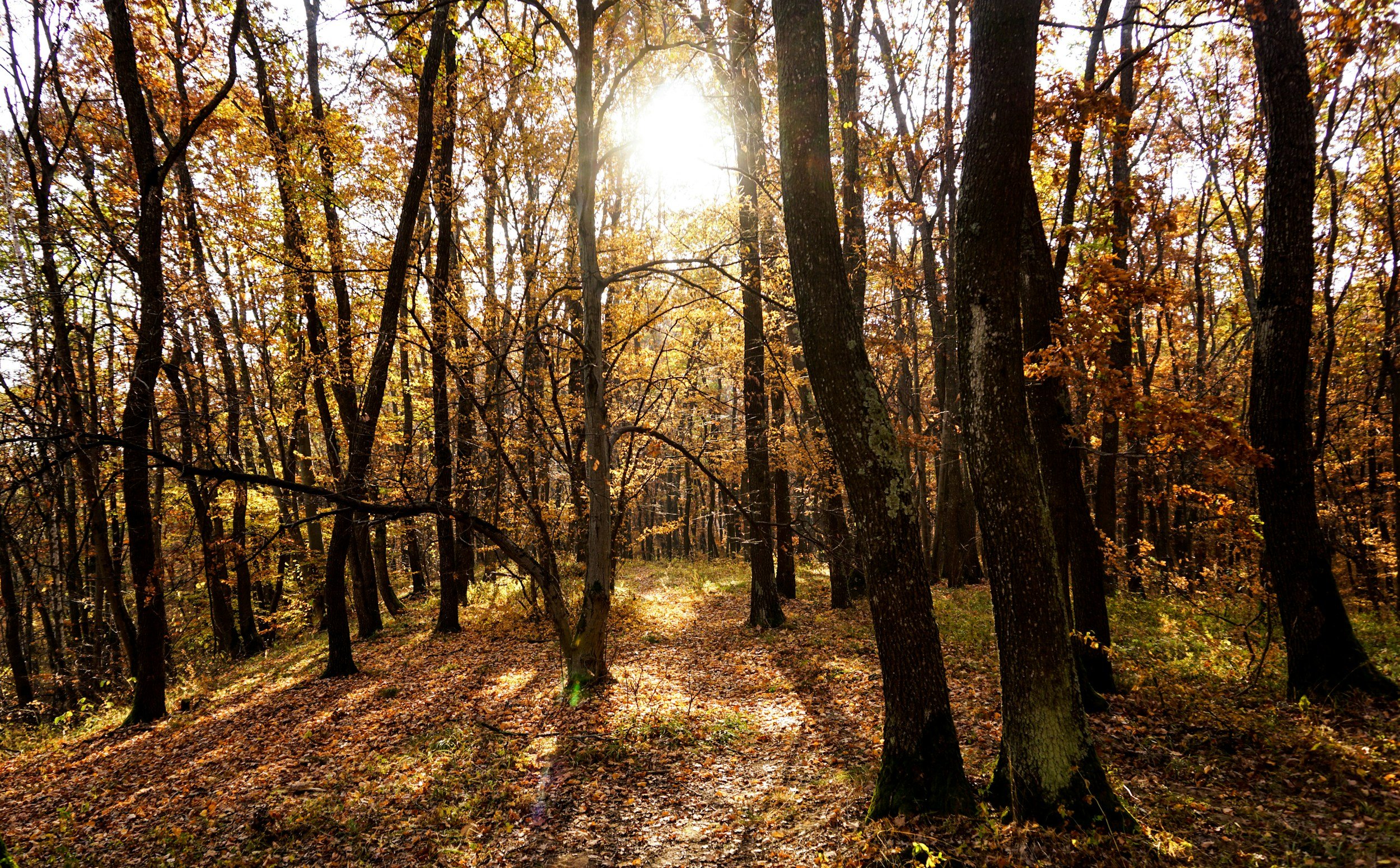 In-Person Death Doula Retreat