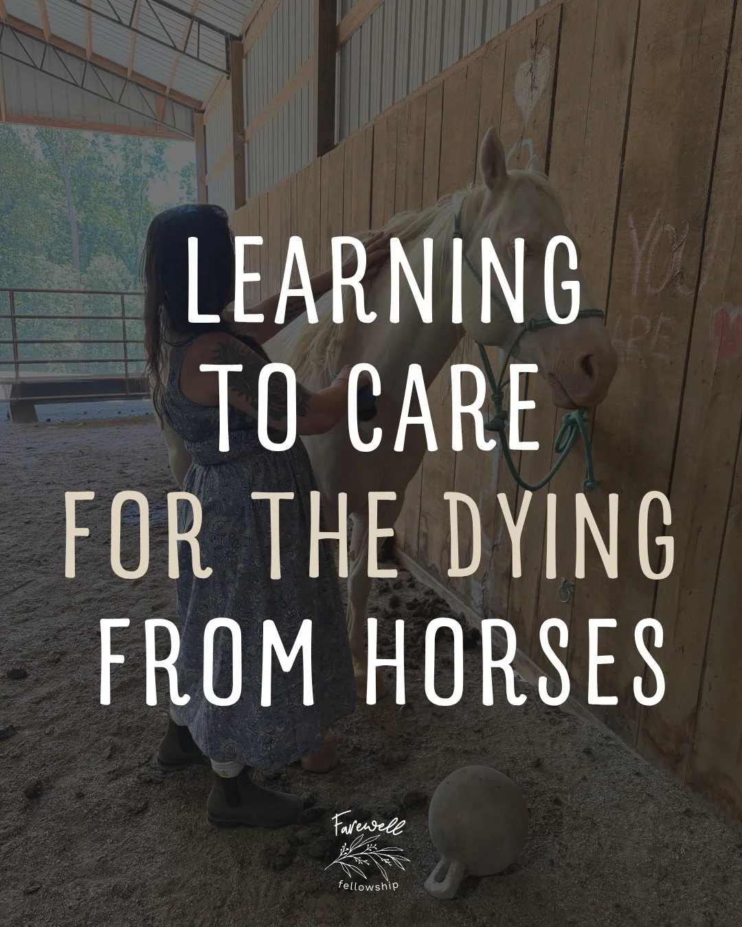 I&rsquo;ve spent a lot of my life around horses.

My mom had them when I was a kid. Now my daughter is the horse person. 

But here&rsquo;s the funny thing: I&rsquo;ve never really been a horse person.

Recently, my therapist started incorporating ho