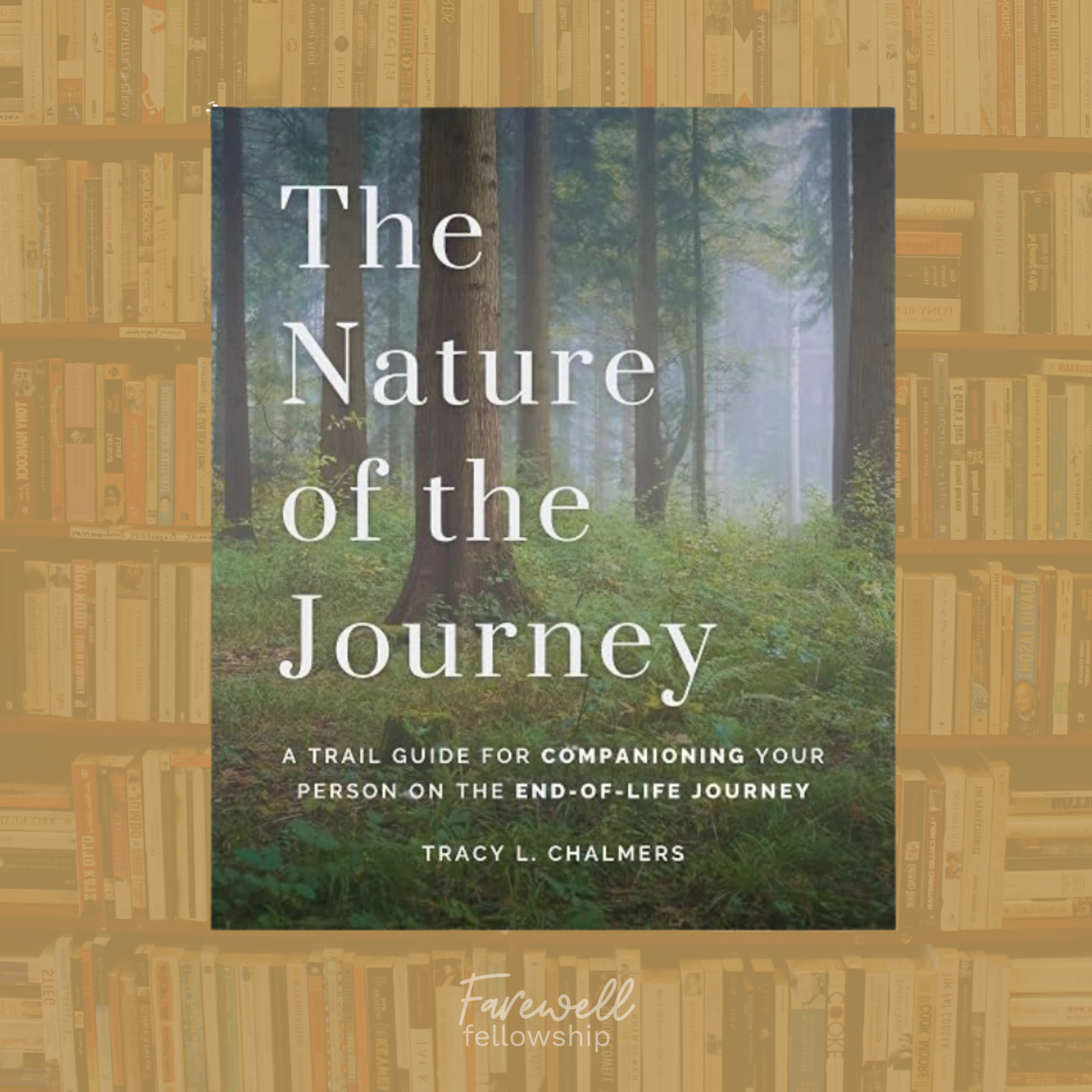 The Nature of the Journey by Tracy Chalmers