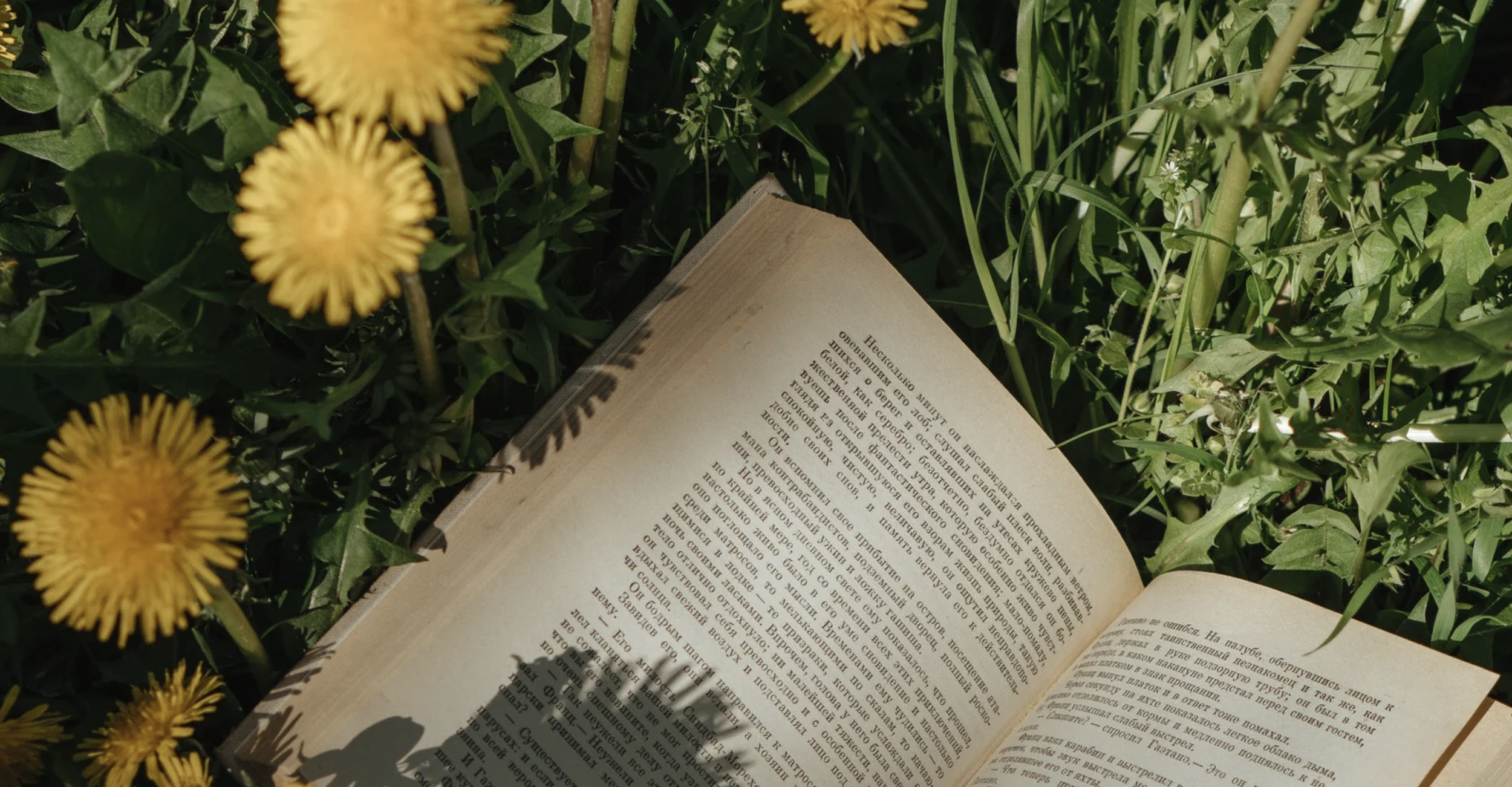 8 Books That Changed How I Think About Death, Dying &amp; Deathwork