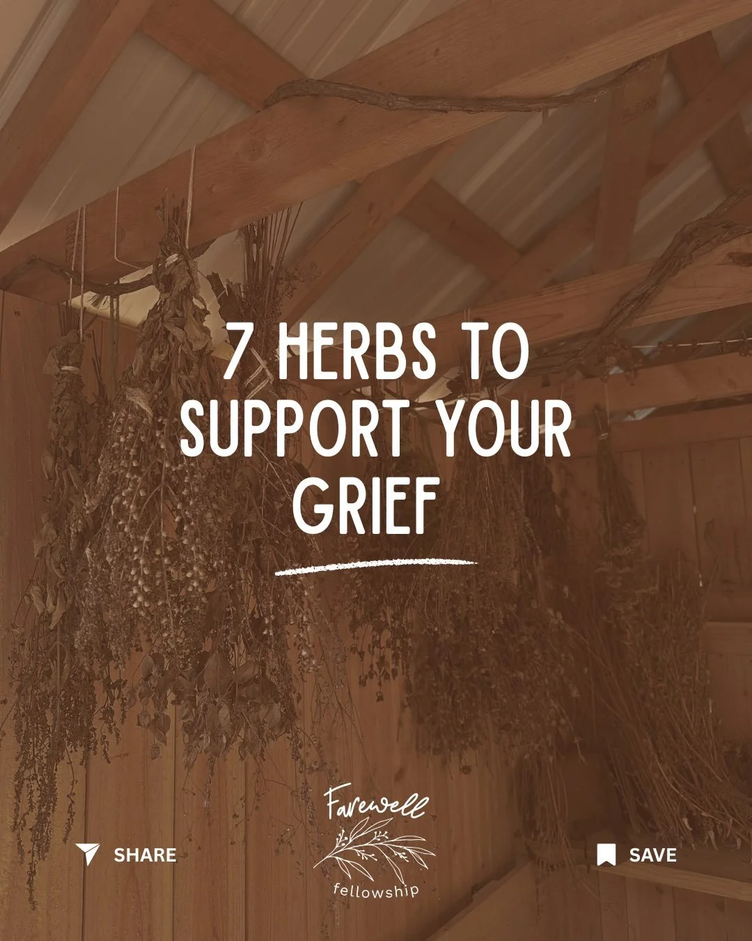 Grief is physical.  It changes the way we sleep, eat, breathe, think, and move through the world. And long before we had clinical language for nervous systems and stress responses, people turned to plants.

Herbal medicine for grief is not intended t