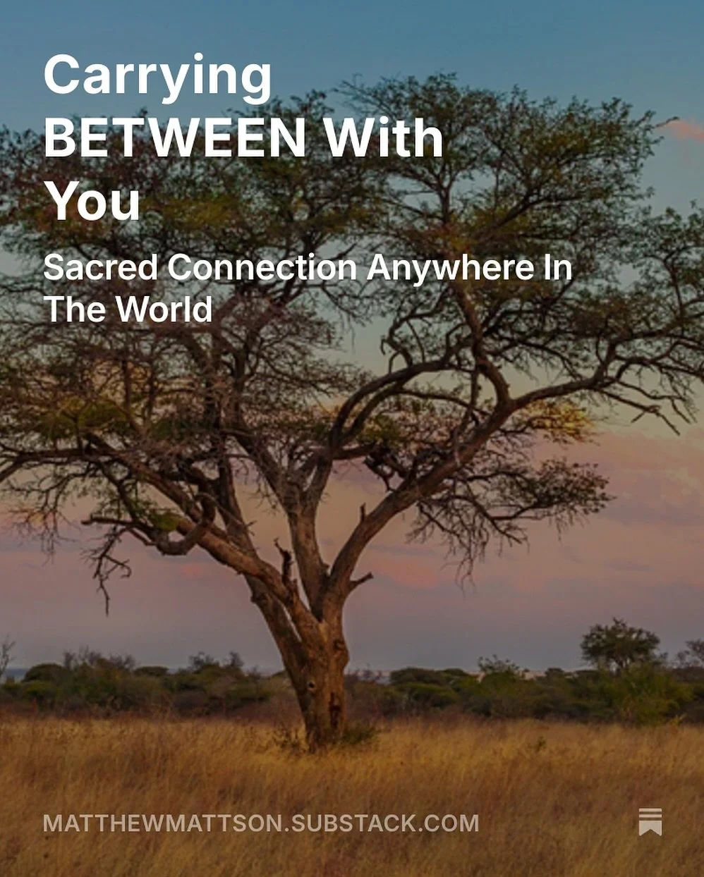 In the earliest conversations about what BETWEEN might become, we dreamed of a truly borderless, global community. 

So having Francois (one of our BETWEENERs, who originates from South Africa and lives in Costa Rica as a digital nomad) offer to deli