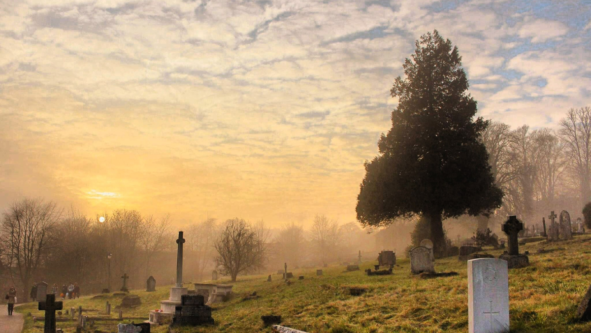 Ancestors