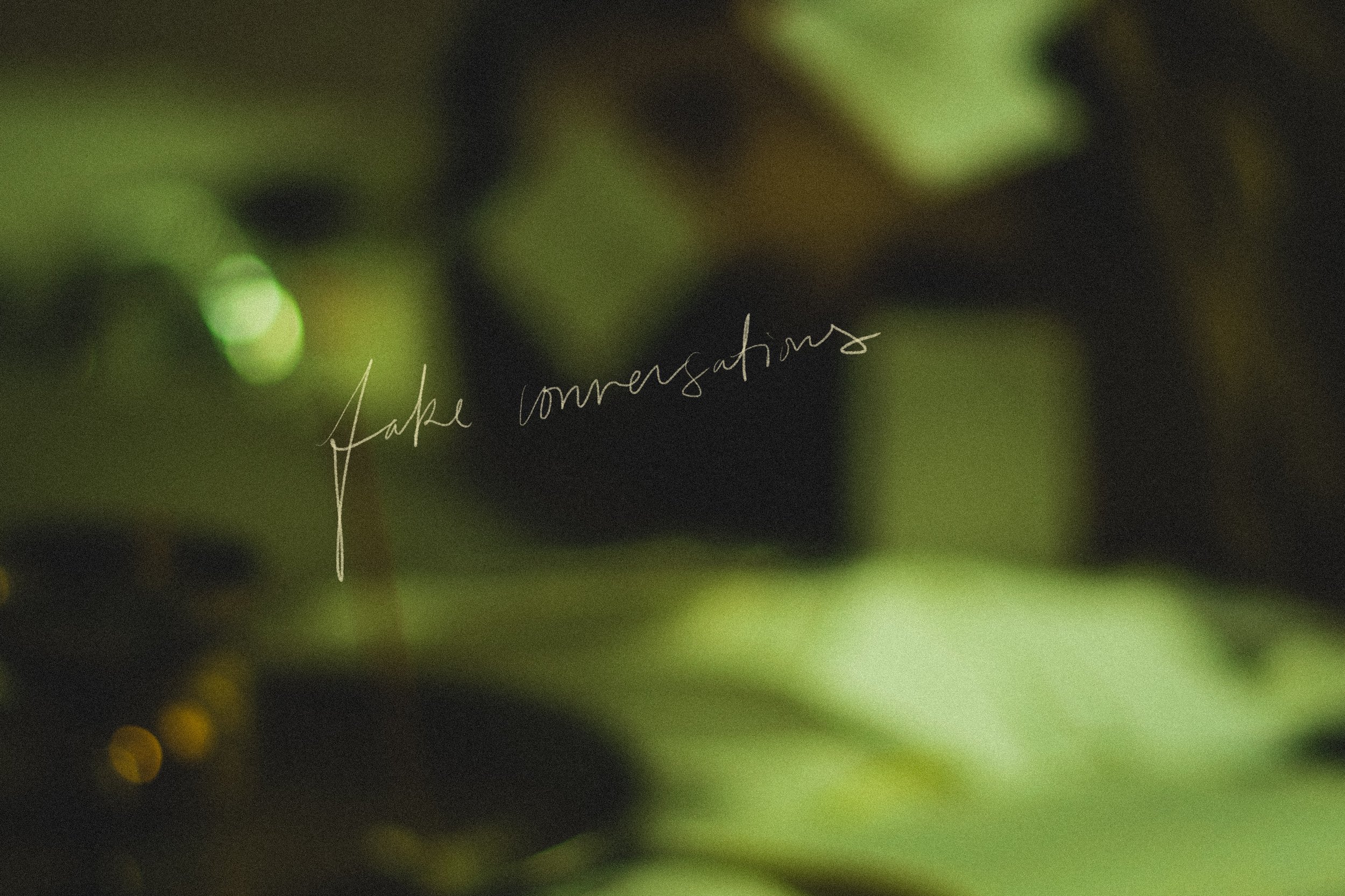 Fake Conversations N° 6