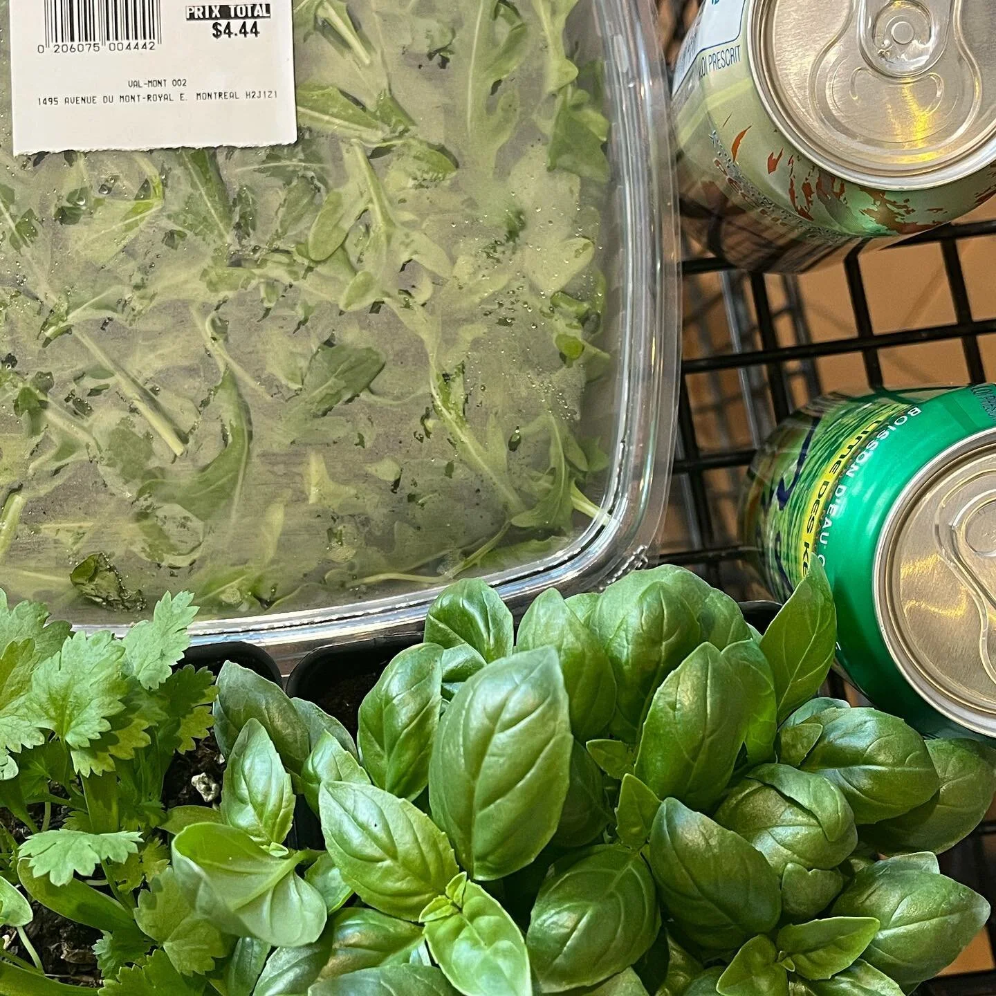 Altar of the grocery shop