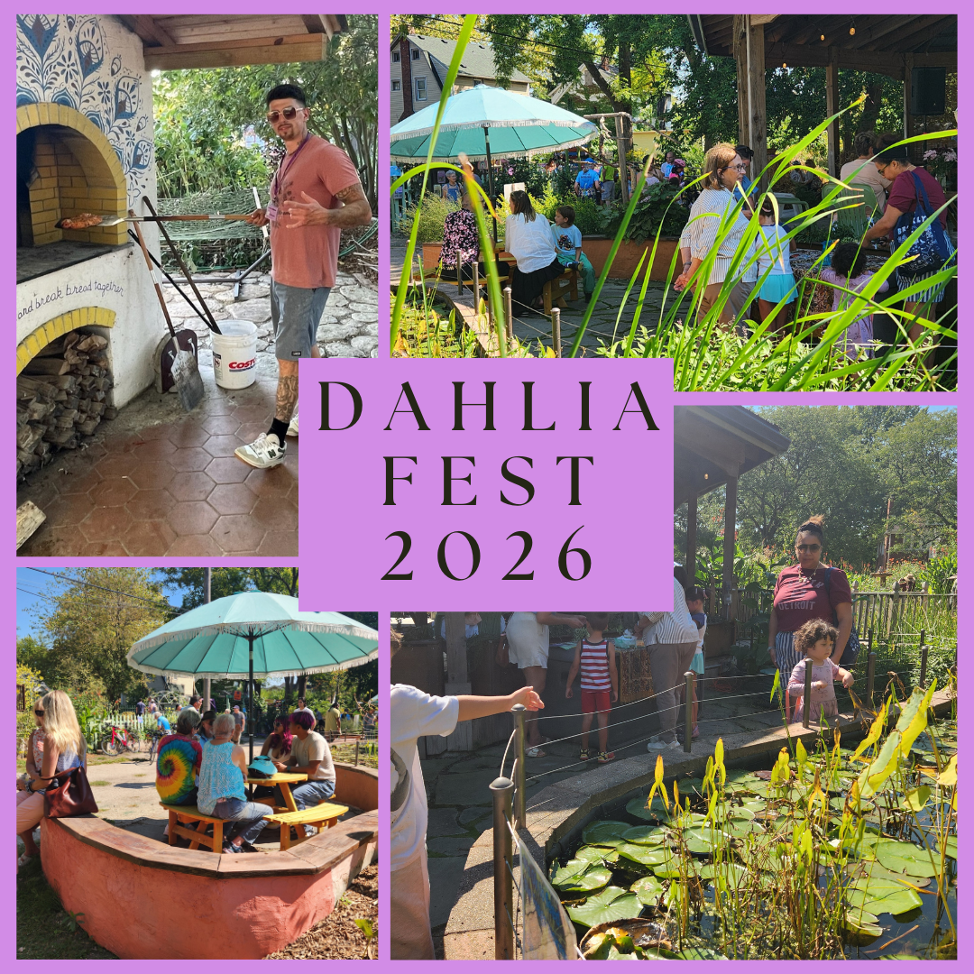 Dahlia Fest 2026