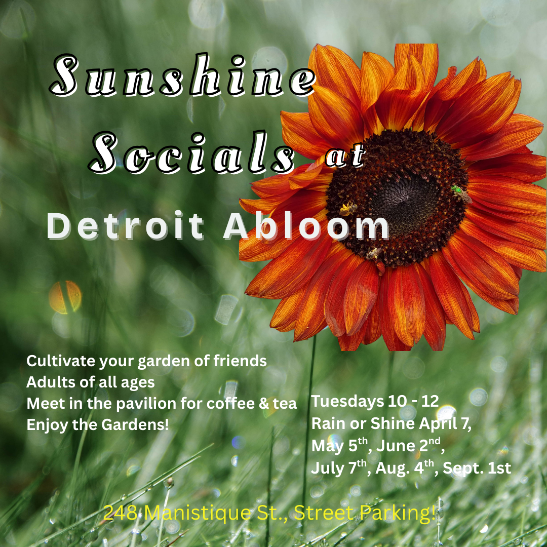 Sunshine Socials at DA