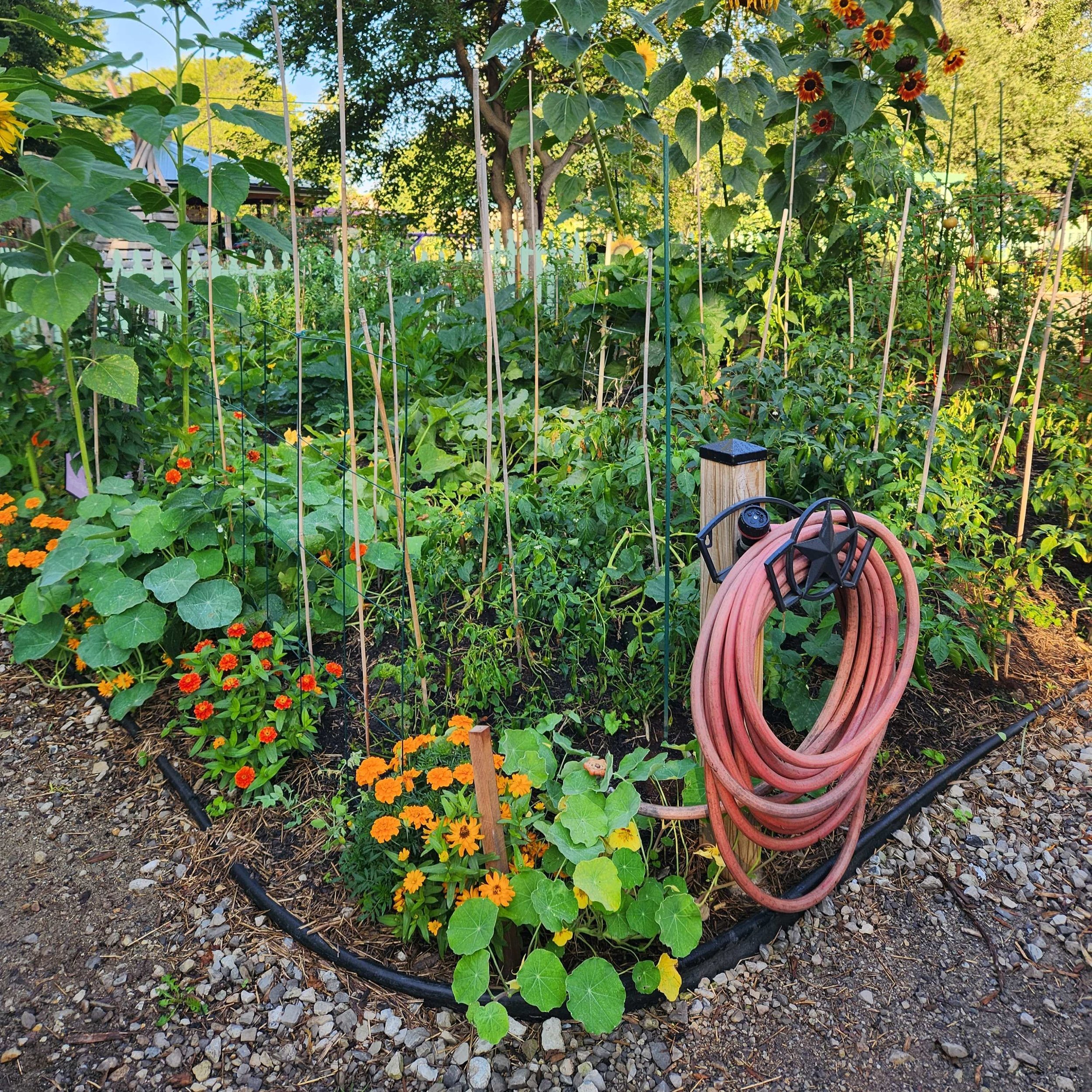 DA Plot Farmer MeetUp