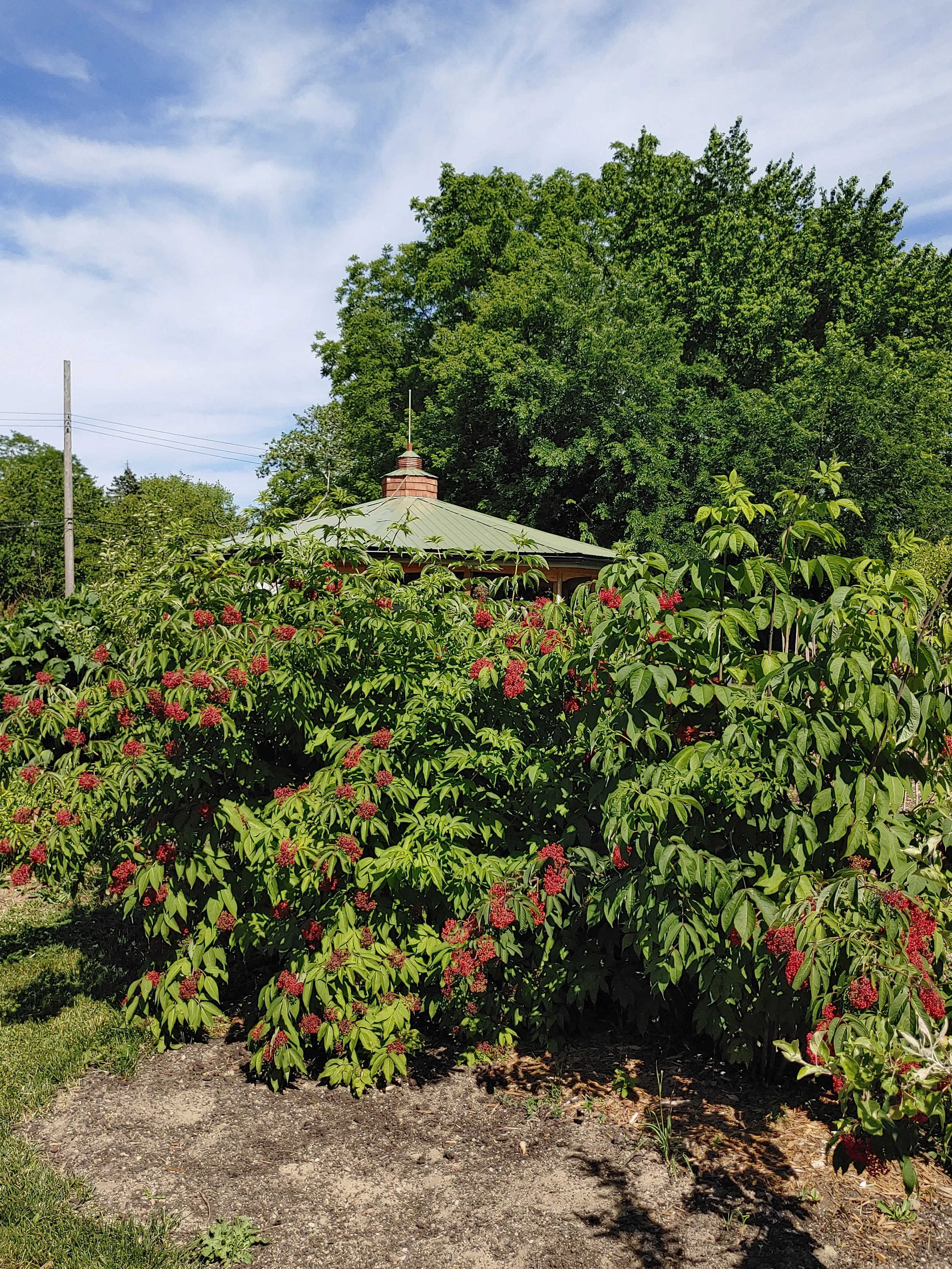 20200618_162214.jpg