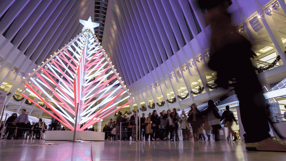 oculus-low-tree.gif