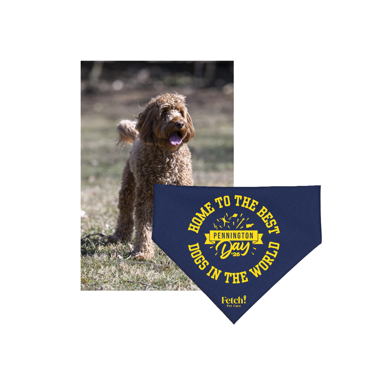 Dog Show Registration - Includes Official 2026 Dog Show Bandana