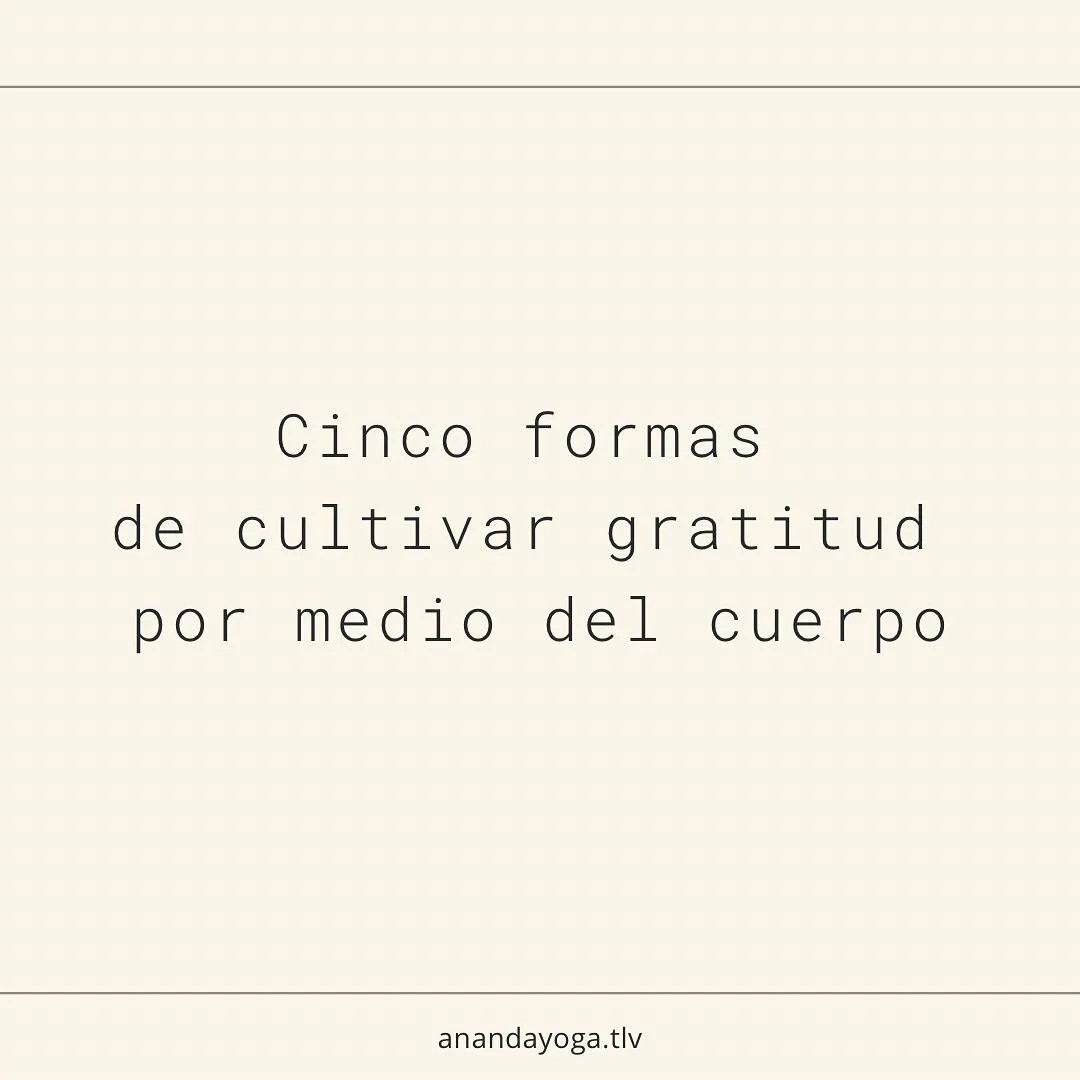 La gratitud se siente en el cuerpo

Al igual que el resto de las emociones y sentires. 

Incluir a nuestro cuerpo, sea cual sea la manera que en la que estemos trabajando y cuidando de nuestra salud emocional y mental, es esencial para hacer un traba