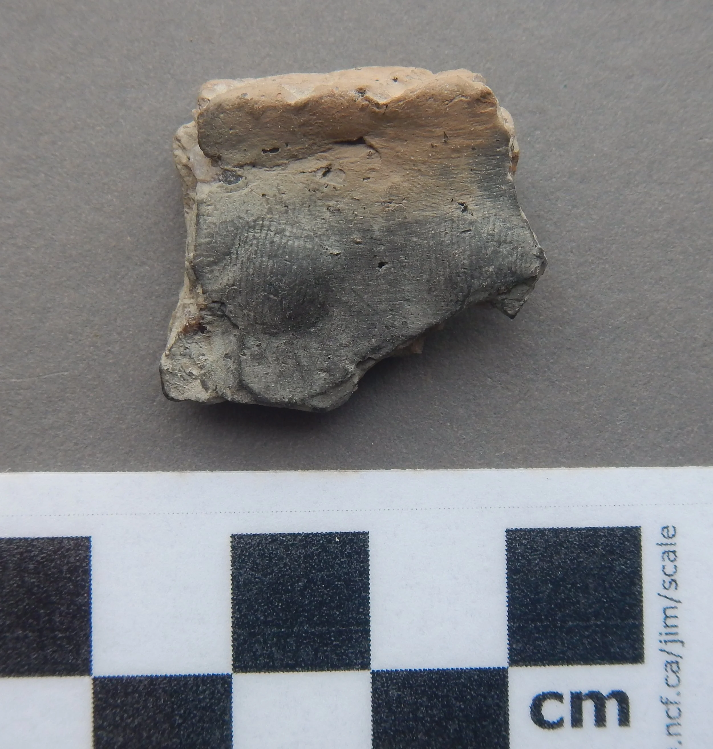 Centuries Old Fingerprints