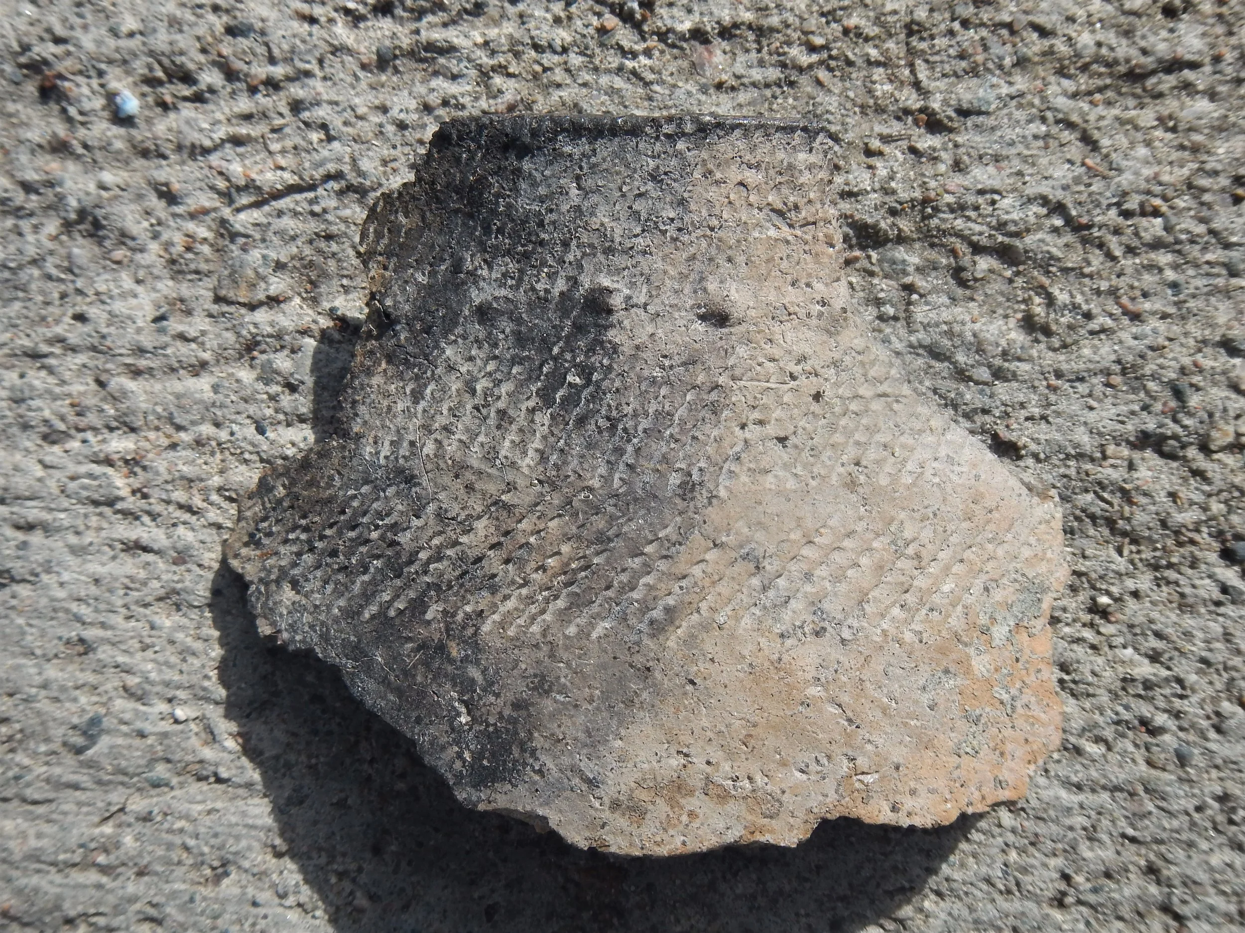 A“maize”ing Rim Sherd