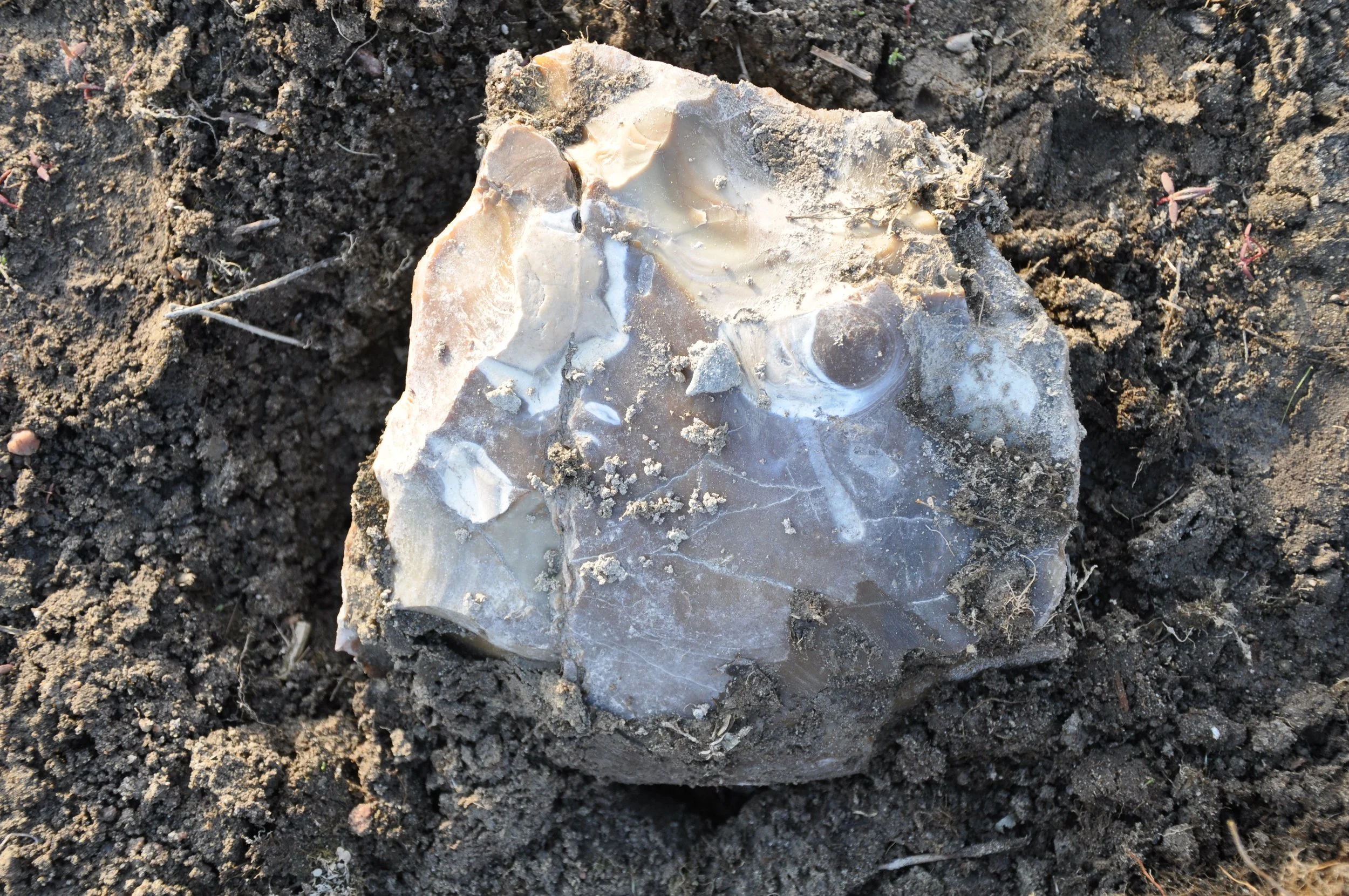 Jumbo HBL Chert Core