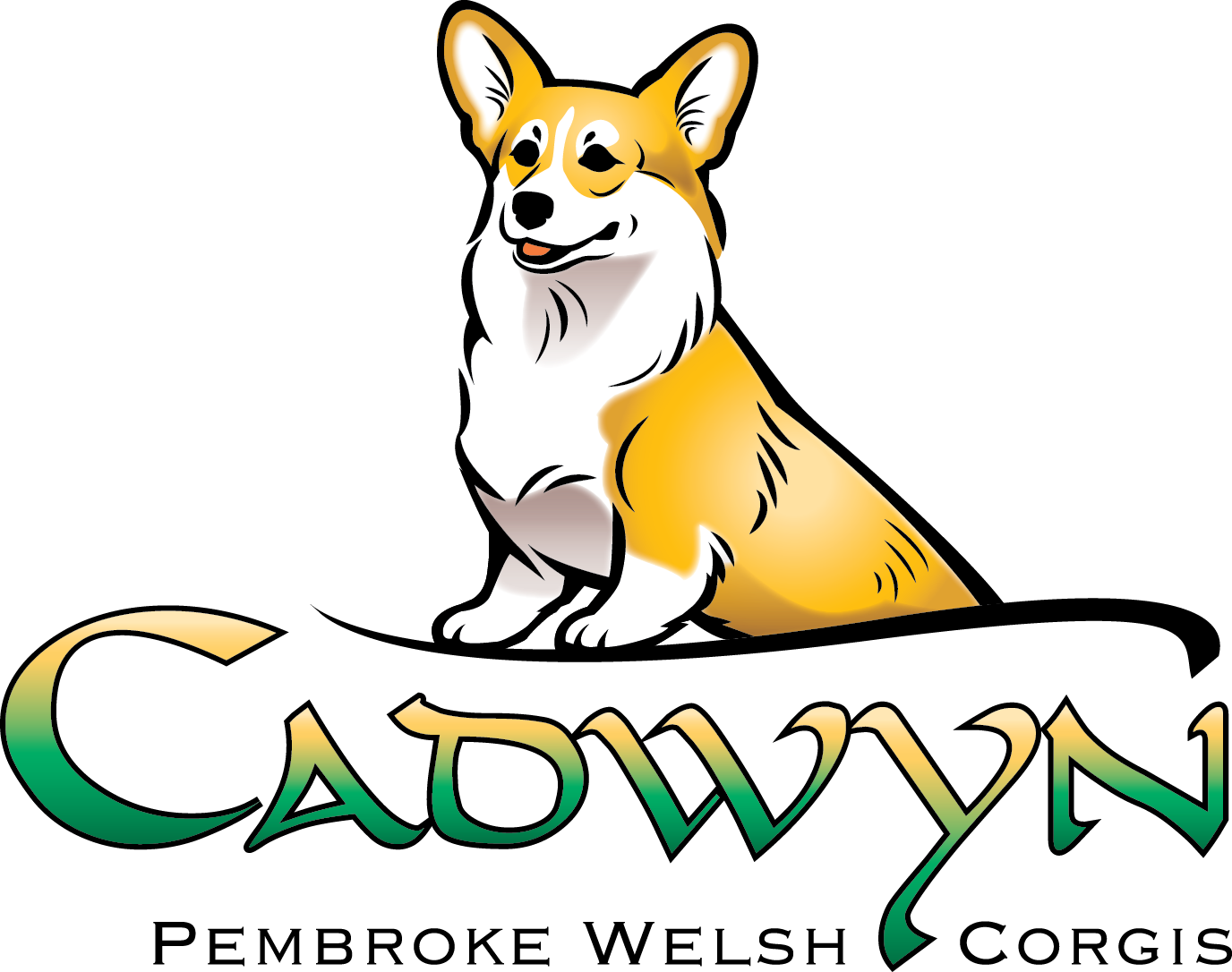 Cadwyn Corgis | CKC Pembroke Welsh Corgi Breeder Canada