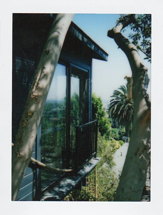Polaroid_014.jpg