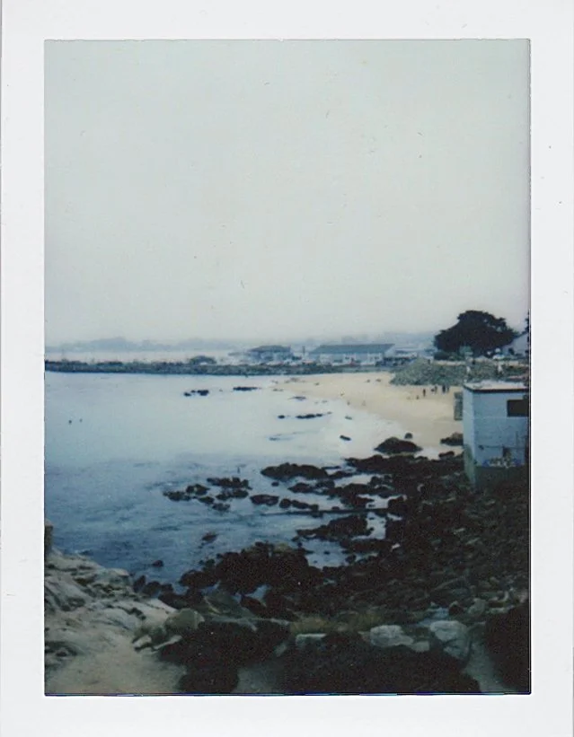Polaroid_034.jpg