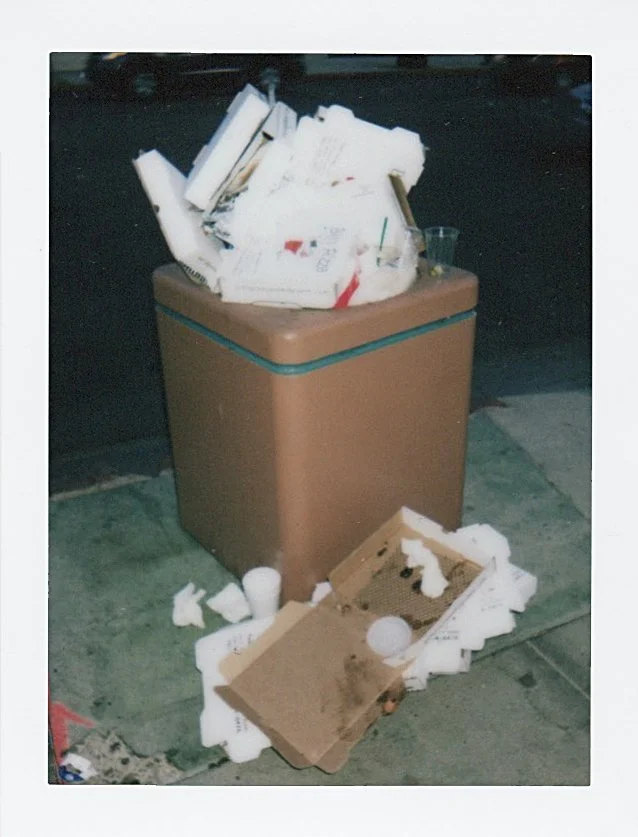 Polaroid_038.jpg