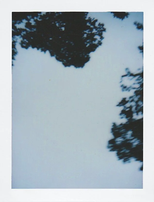 Polaroid_166.jpg