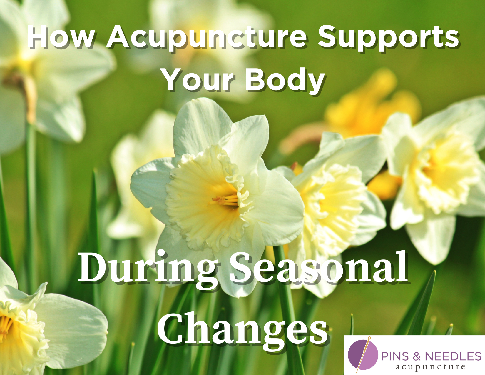 How Acupuncture Supports Your Body During Seasonal Changes | Acupuncture in Northern Colorado