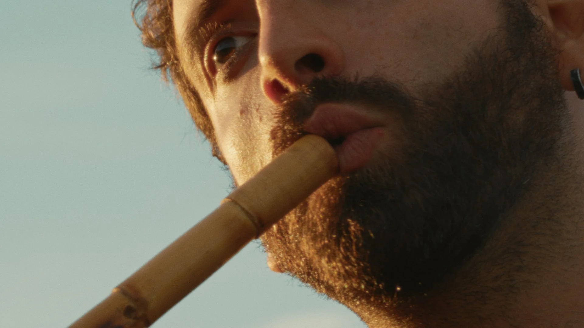 Still 2025-12-06 092442_1.1.3.jpg