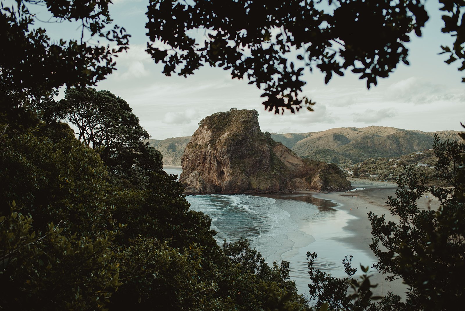 Copyright Darby Magill-1724.jpg